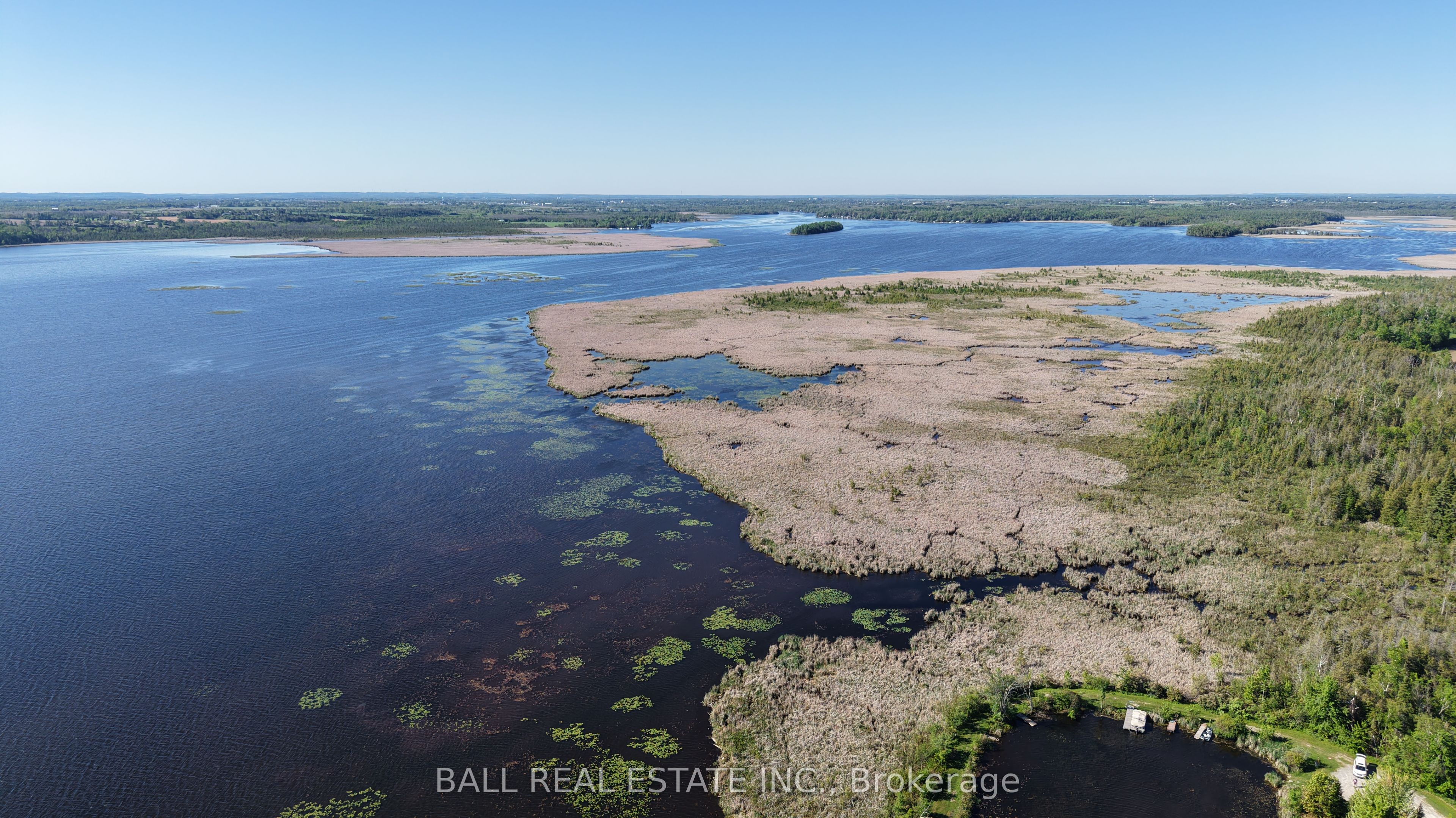 166 Victoria Drive, Kawartha Lakes, ON K0M 1G0 photo 4