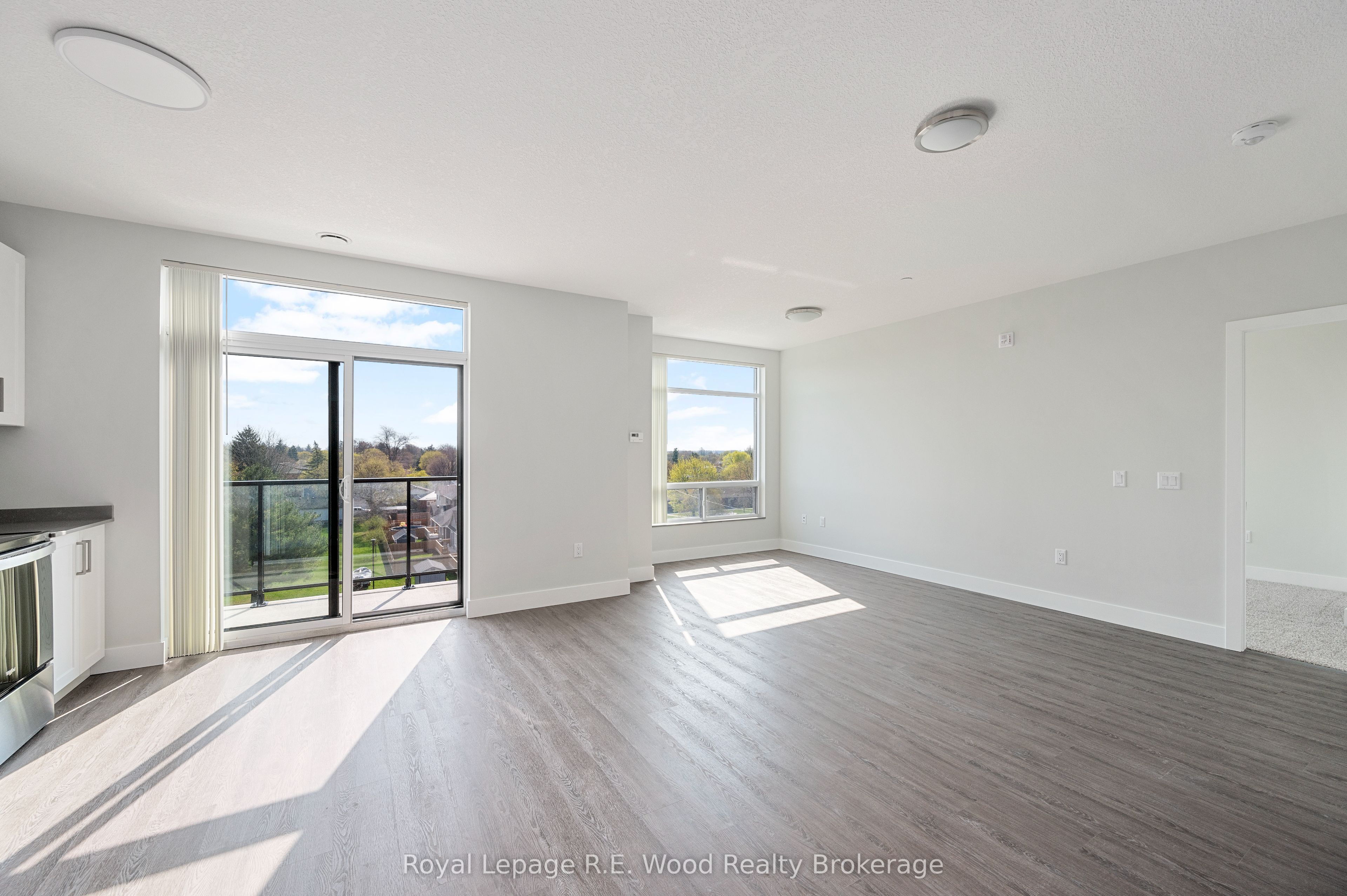 62 First Street, Tillsonburg, ON N4G 5V1 photo 4