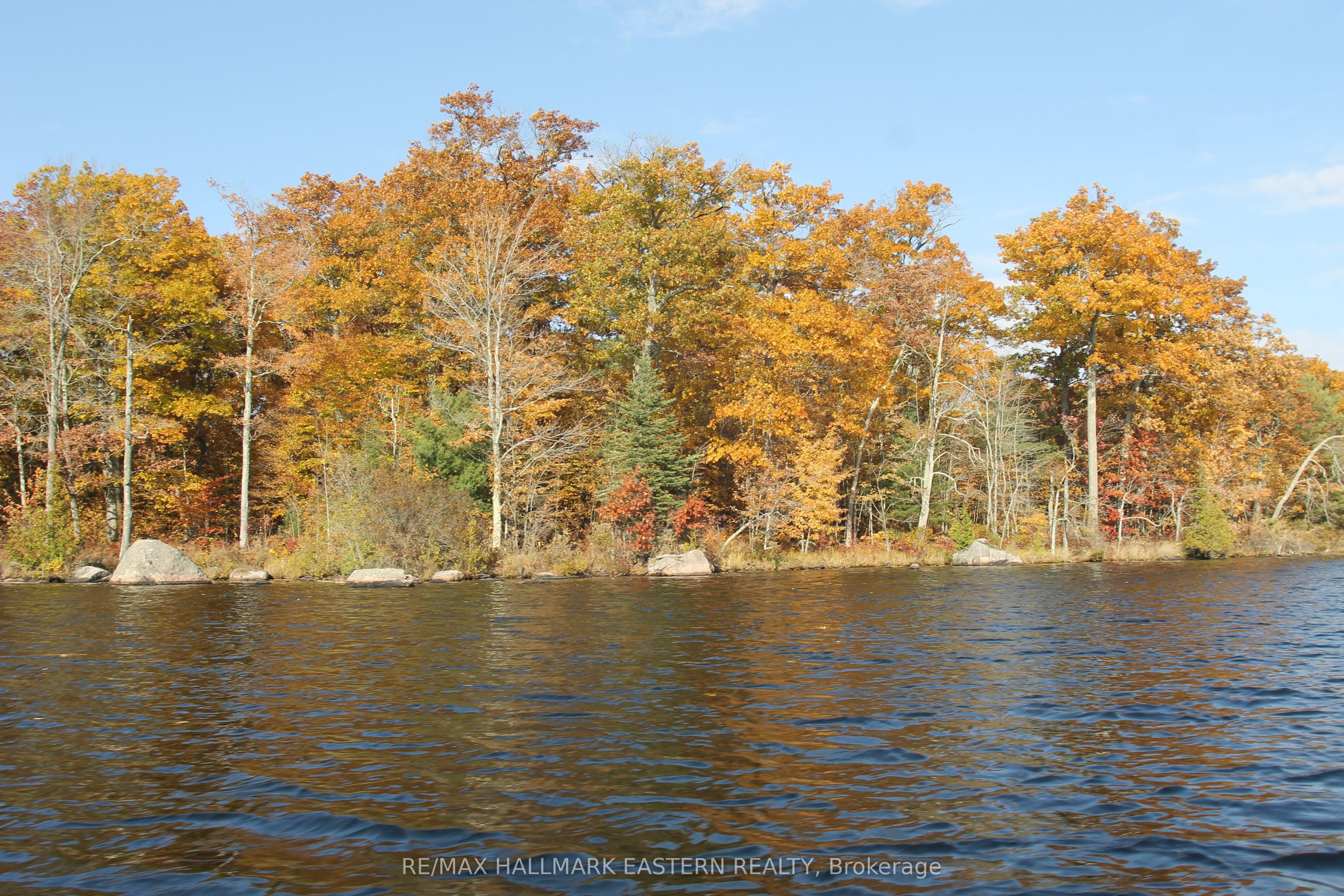 C280 Lower Buckhorn Lake N/A Lot 2, Trent Lakes, ON K0L 1J0 photo 2