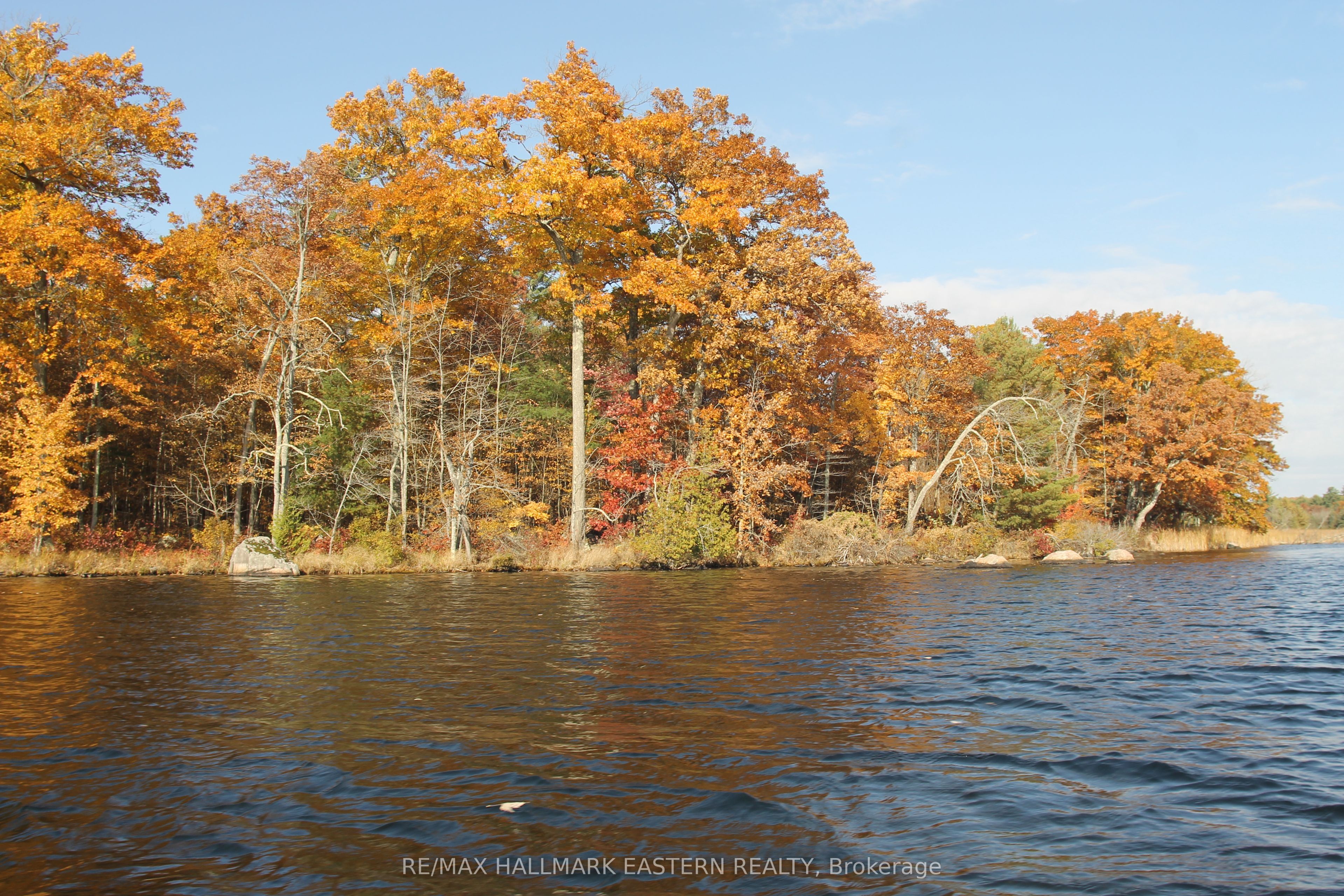 C280 Lower Buckhorn Lake N/A Lot 2, Trent Lakes, ON K0L 1J0 photo 3