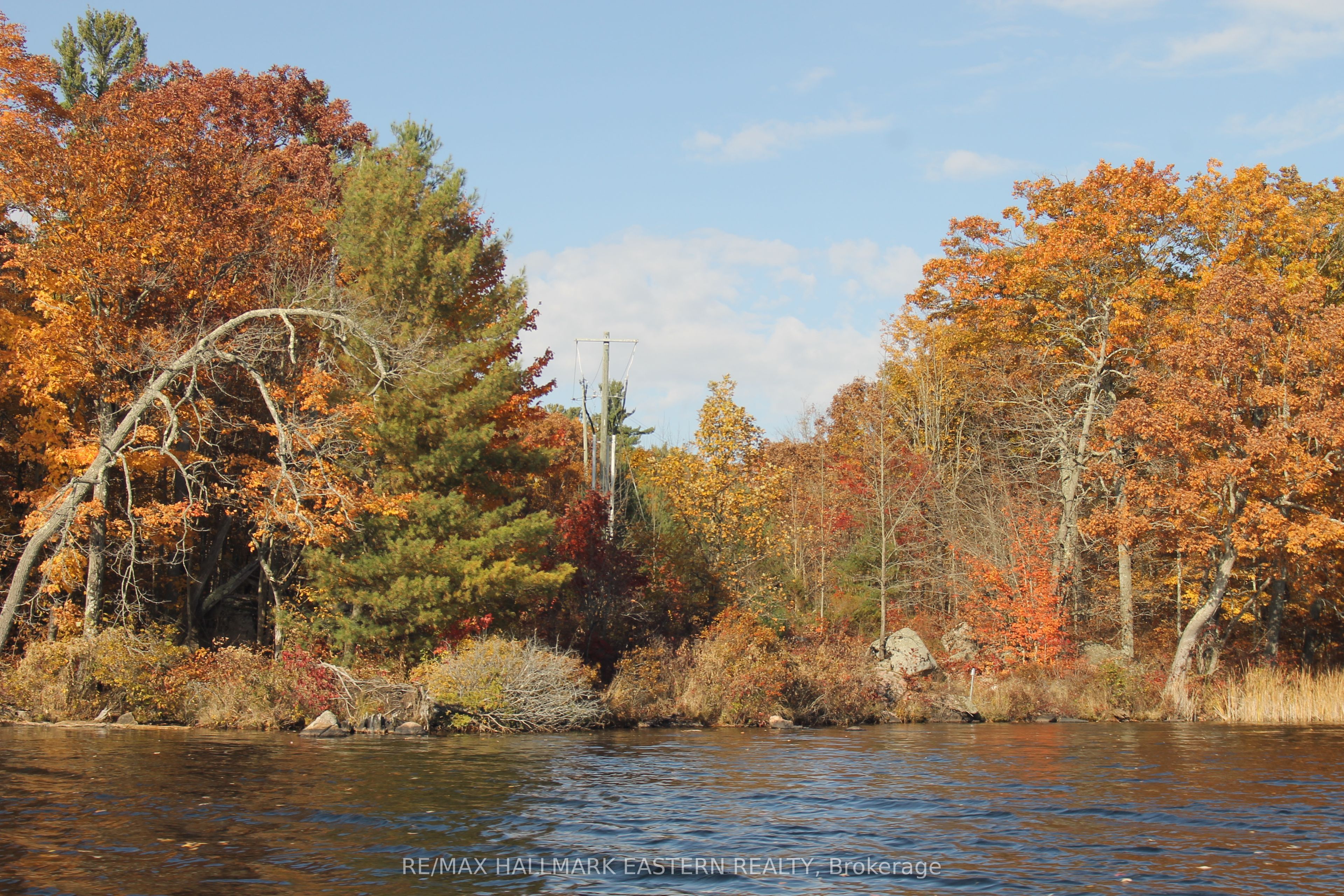 C280 Lower Buckhorn Lake N/A Lot 2, Trent Lakes, ON K0L 1J0 photo 4
