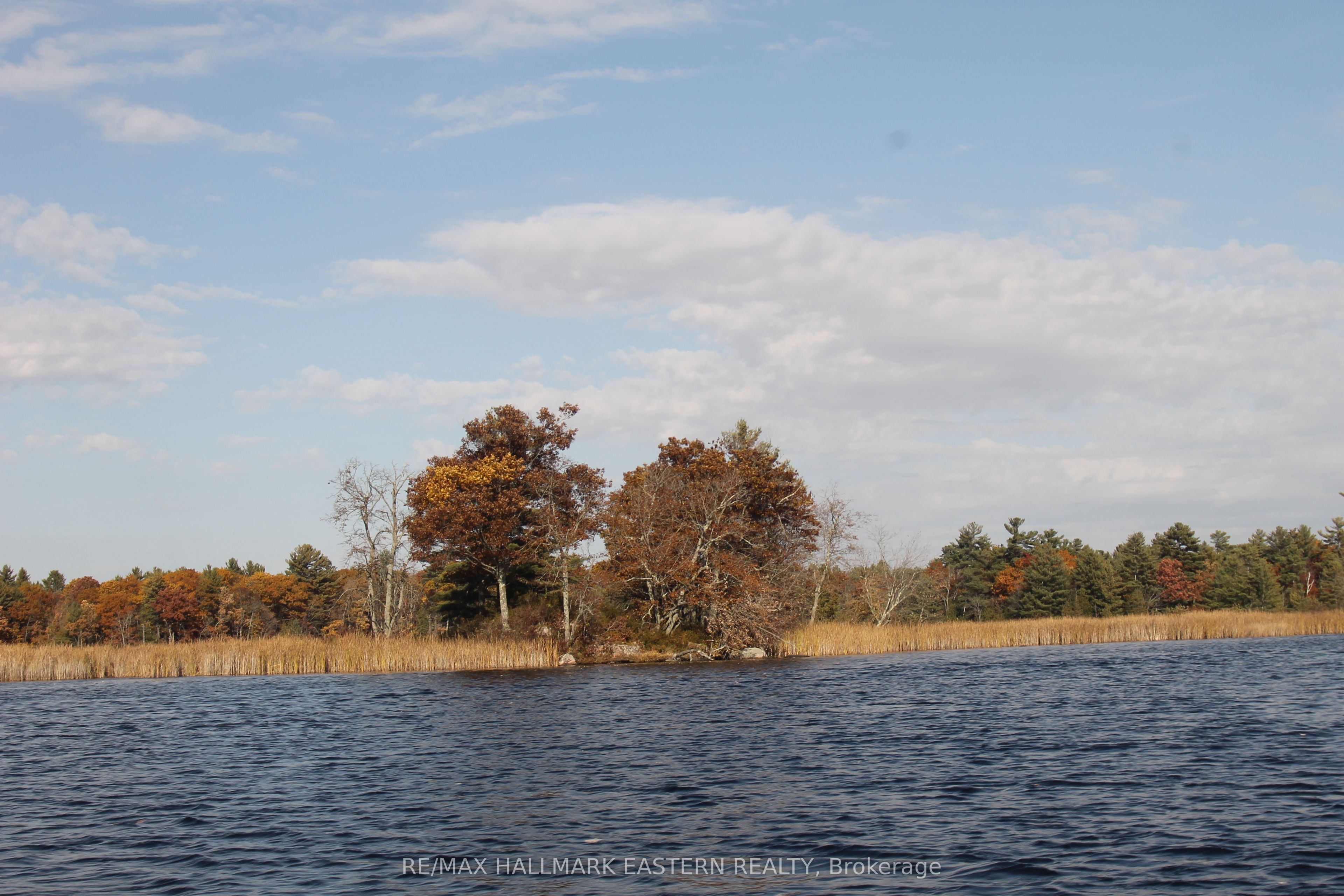 C280 Lower Buckhorn Lake N/A Lot 2, Trent Lakes, ON K0L 1J0 photo 5