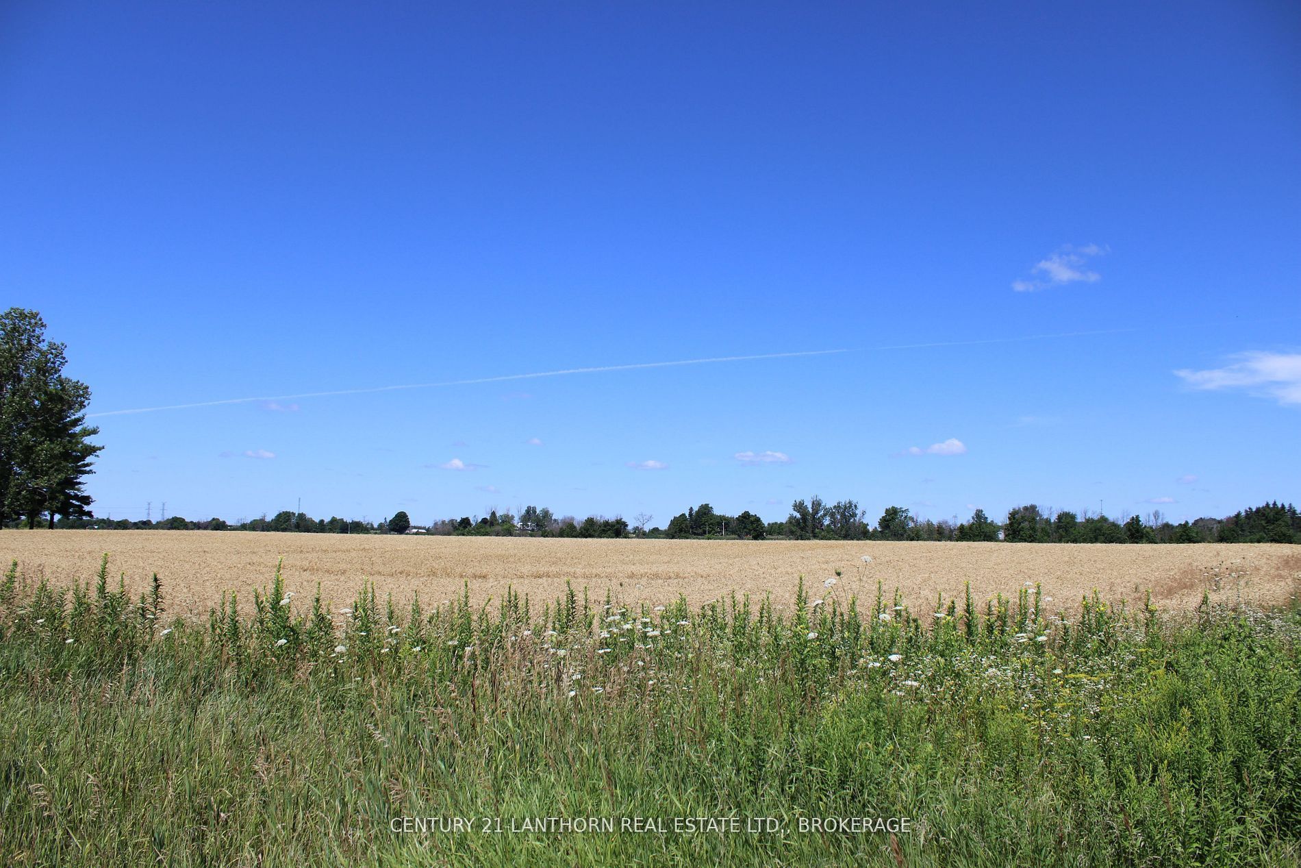 PT LT16 JIM KIMMETT Boulevard, Greater Napanee, ON K7R 3L1 photo 3