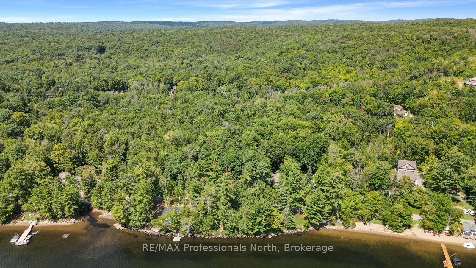 0 Halls Lake Road, Algonquin Highlands, ON K0M 1S0 photo 5