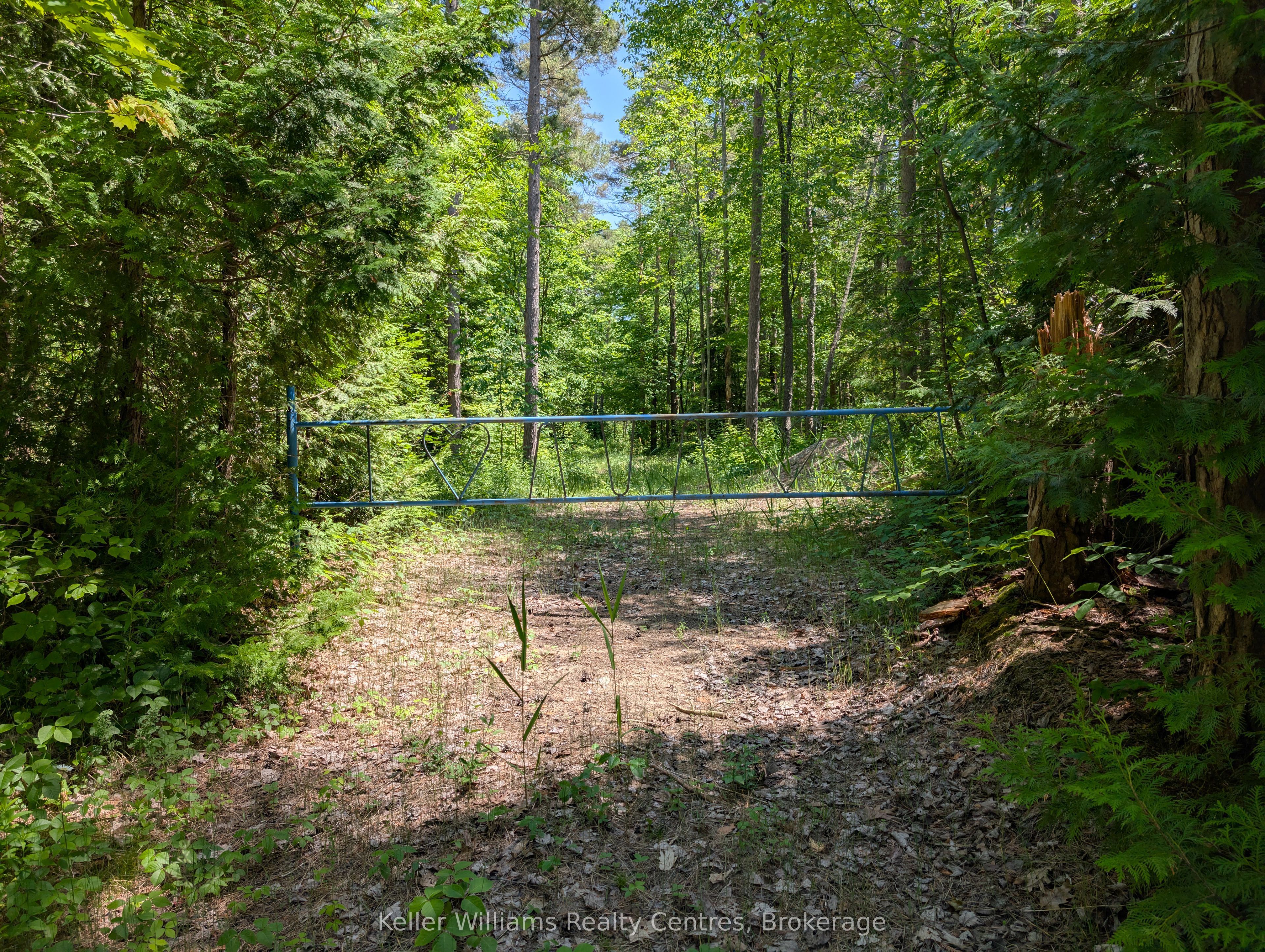 590-608 HURON Road, South Bruce Peninsula, ON N0H 2T0 photo 5