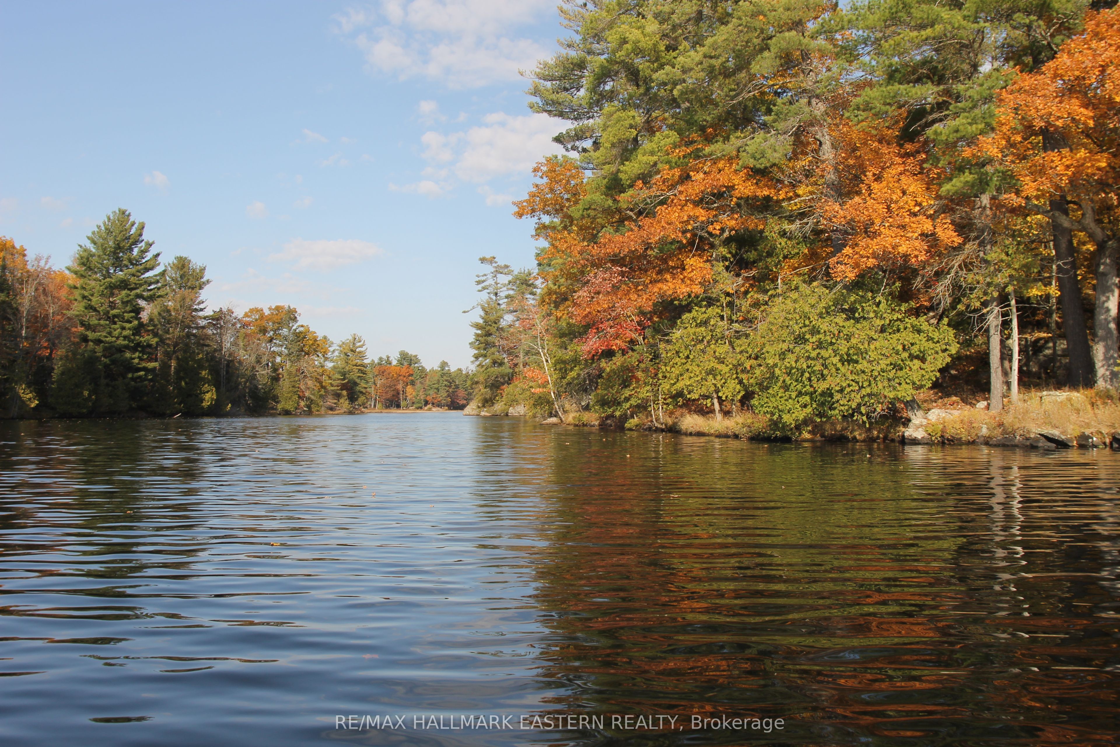 C280 Lower Buckhorn Lake N/A Lot 1, Trent Lakes, ON K0L 1J0 photo 2