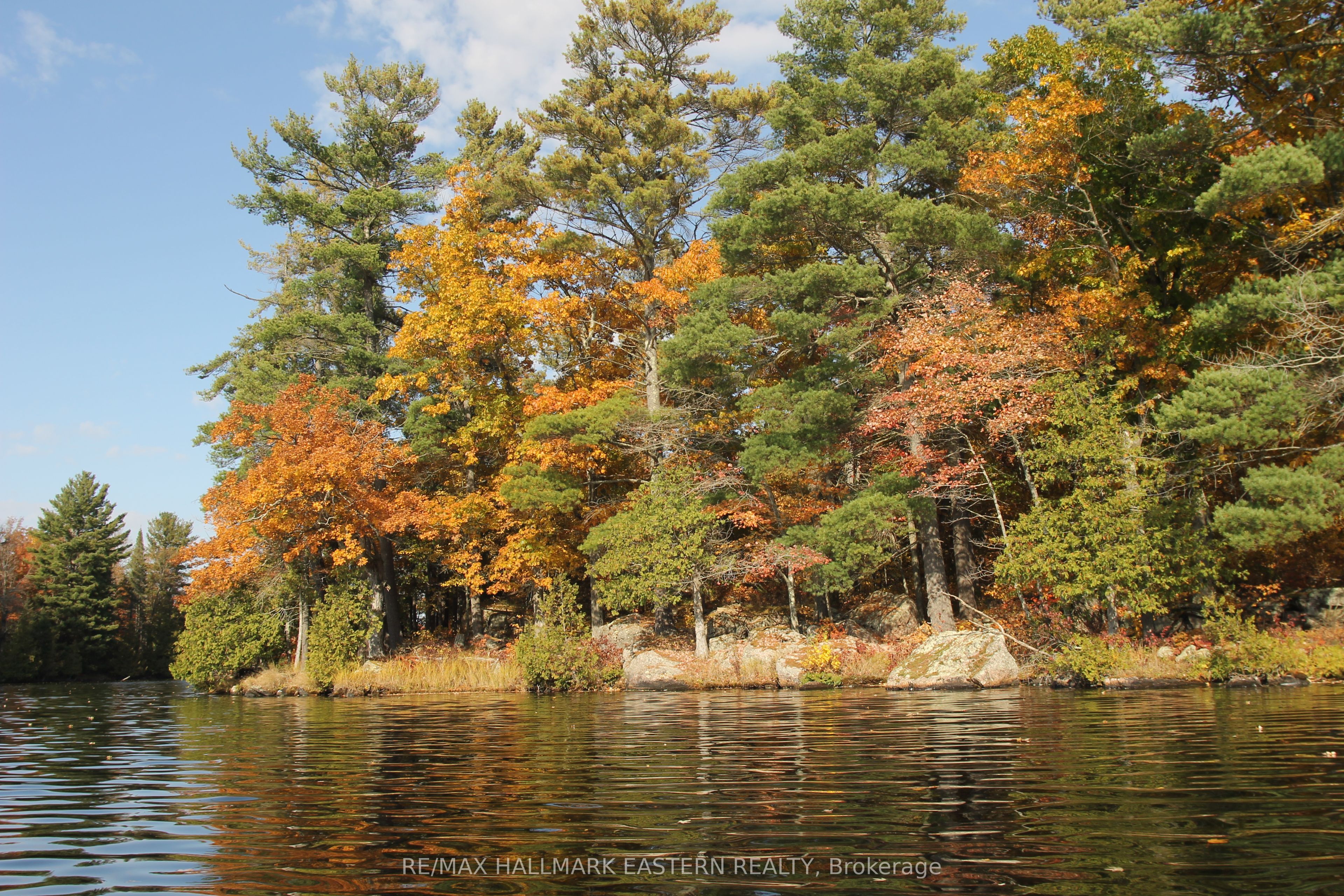 C280 Lower Buckhorn Lake N/A Lot 1, Trent Lakes, ON K0L 1J0 photo 3