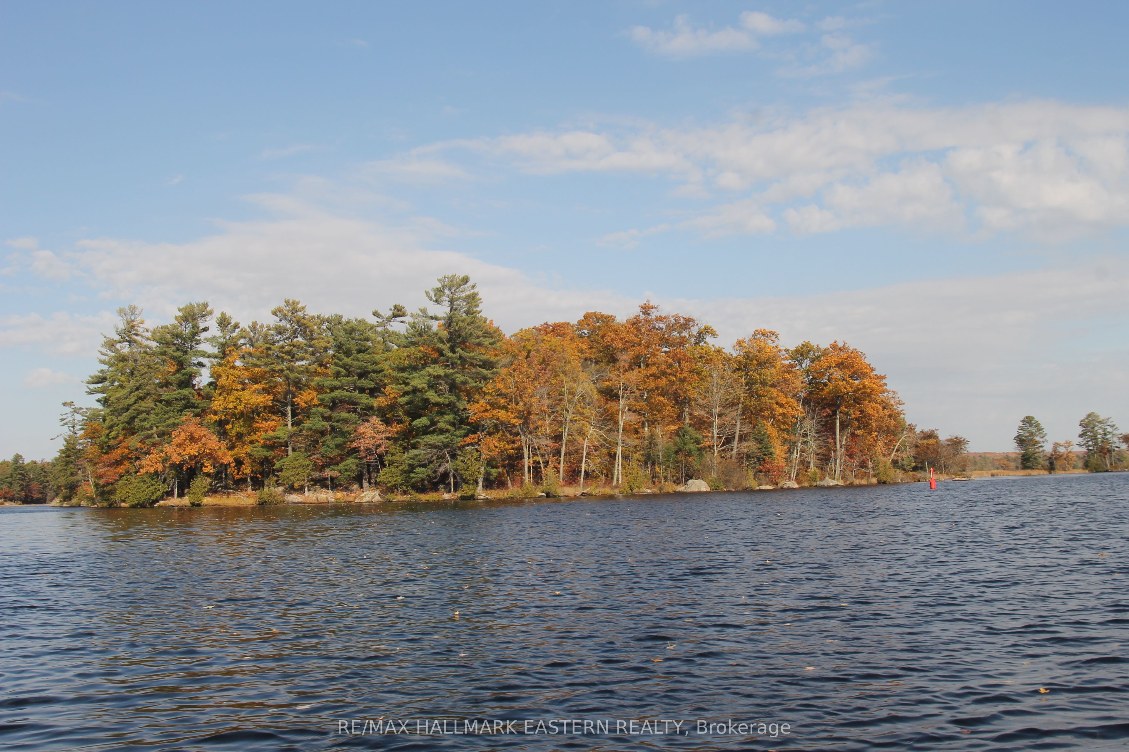 C280 Lower Buckhorn Lake N/A Lot 1, Trent Lakes, ON K0L 1J0 photo 4