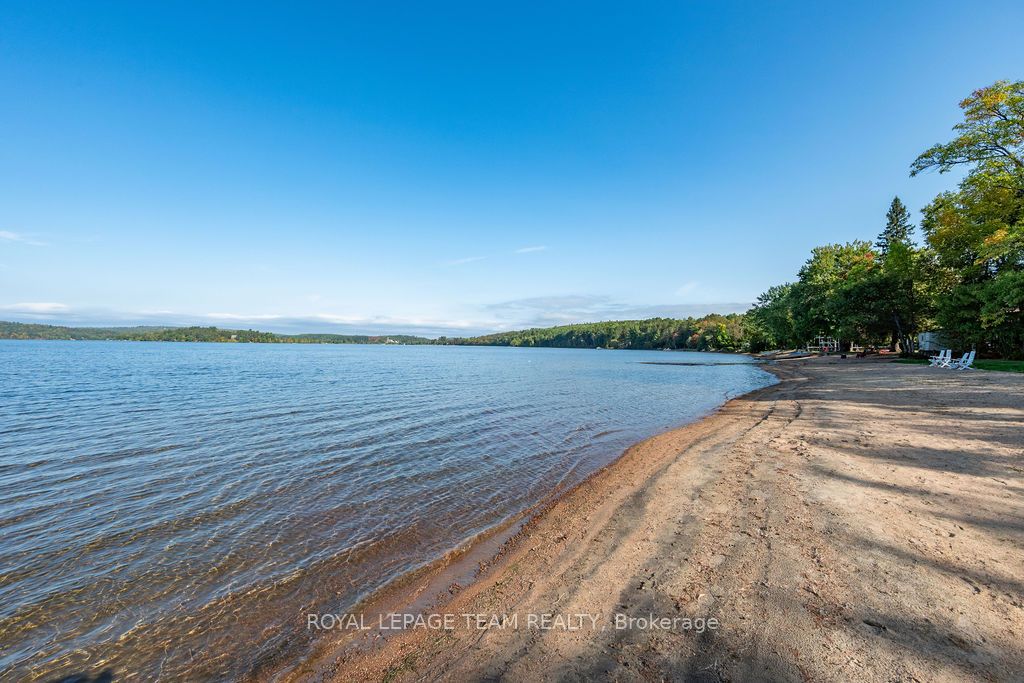 42153B Combermere Road S, Madawaska Valley, ON K0J 1B0 photo 5