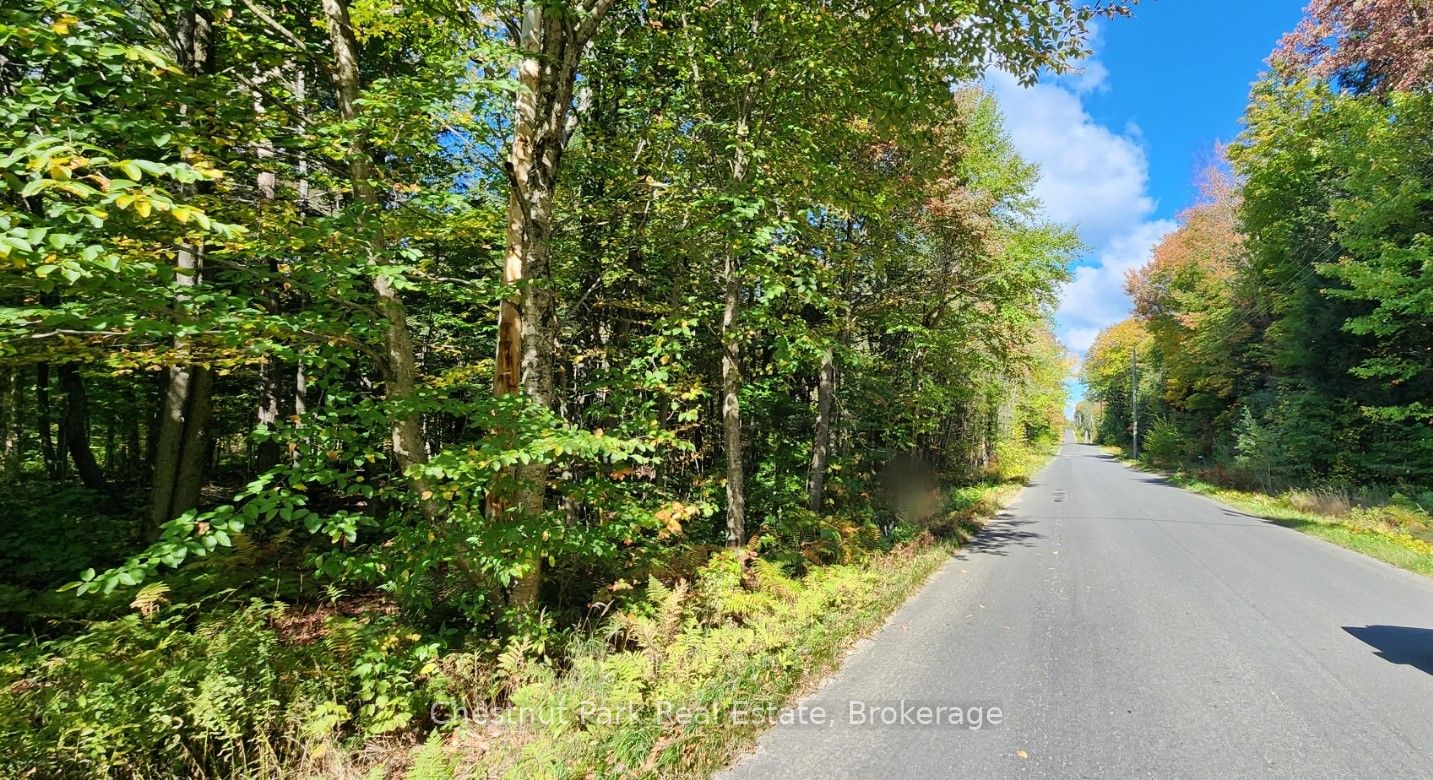 0 Skyline Drive, Armour, ON P0A 1C0 photo 2