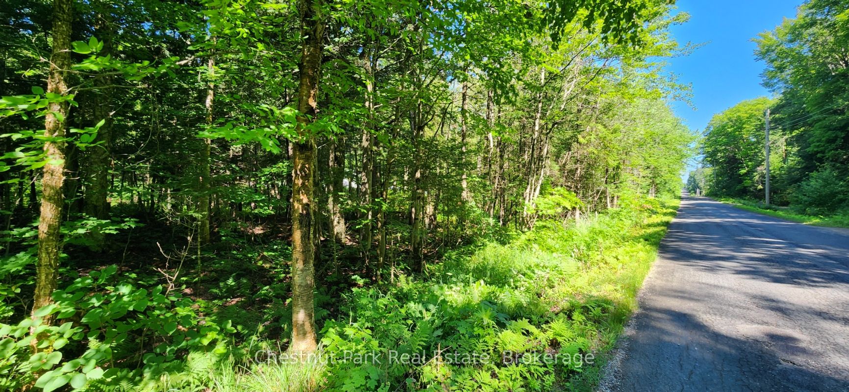 0 Skyline Drive, Armour, ON P0A 1C0 photo 3