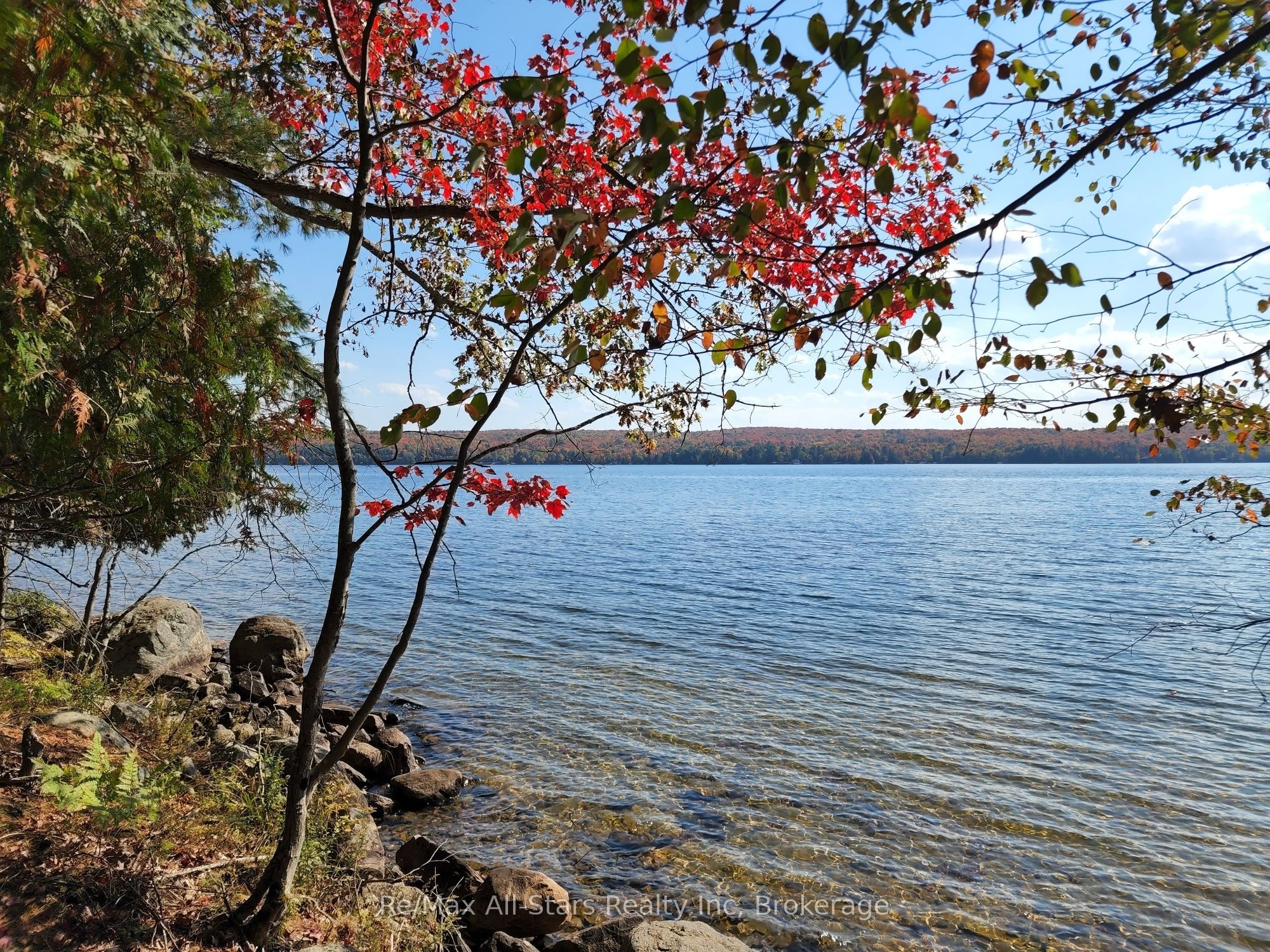504 Bigwin Island, Lake of Bays, ON P0A 1H0 photo 2