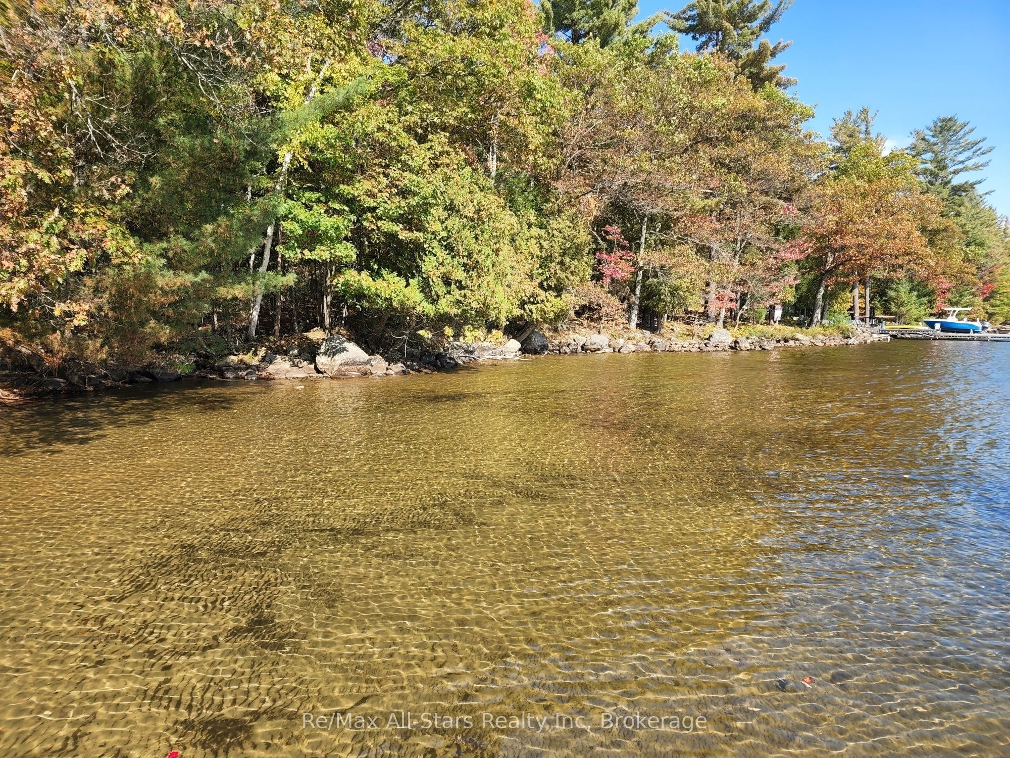 504 Bigwin Island, Lake of Bays, ON P0A 1H0 photo 3