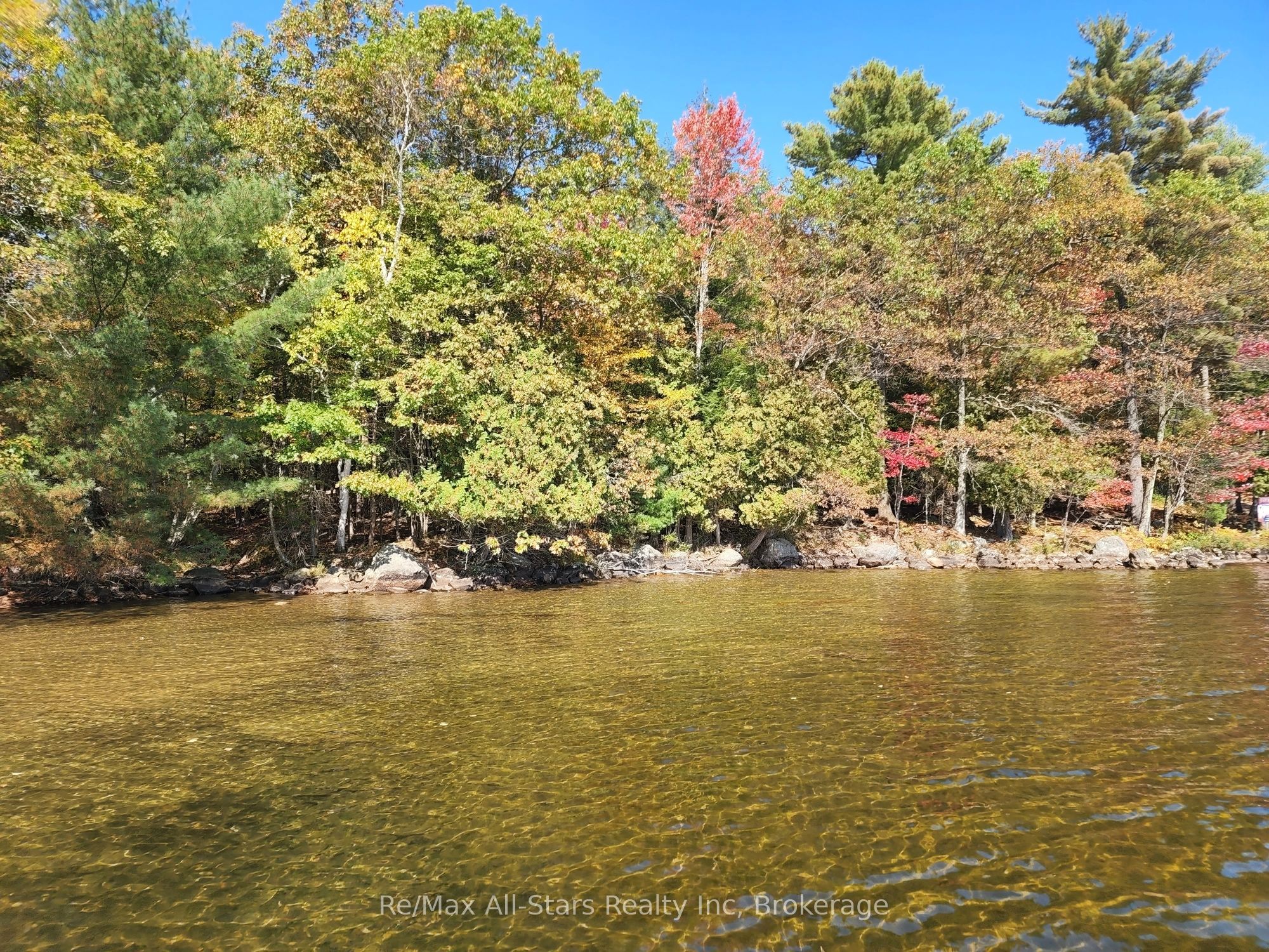 504 Bigwin Island, Lake of Bays, ON P0A 1H0 photo 4