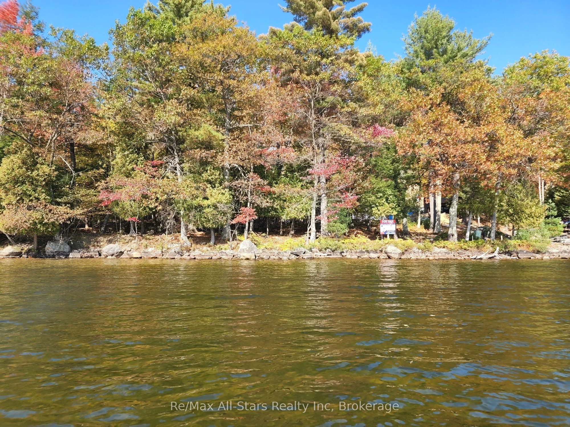 504 Bigwin Island, Lake of Bays, ON P0A 1H0 photo 5