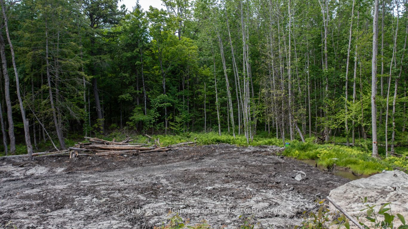 40 Sunnyshore Park Drive, McKellar, ON P2A 0B5 photo 4