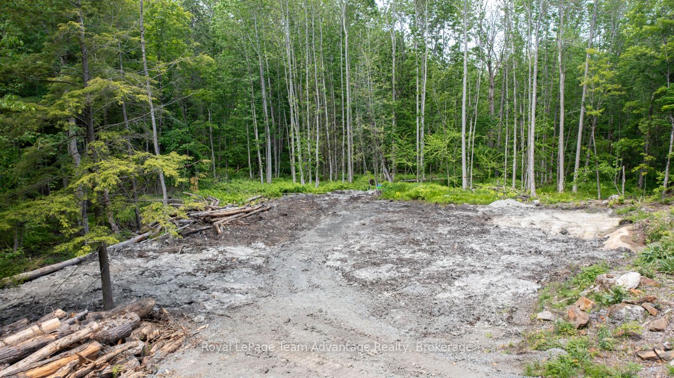 40 Sunnyshore Park Drive, McKellar, ON P2A 0B5 photo 5