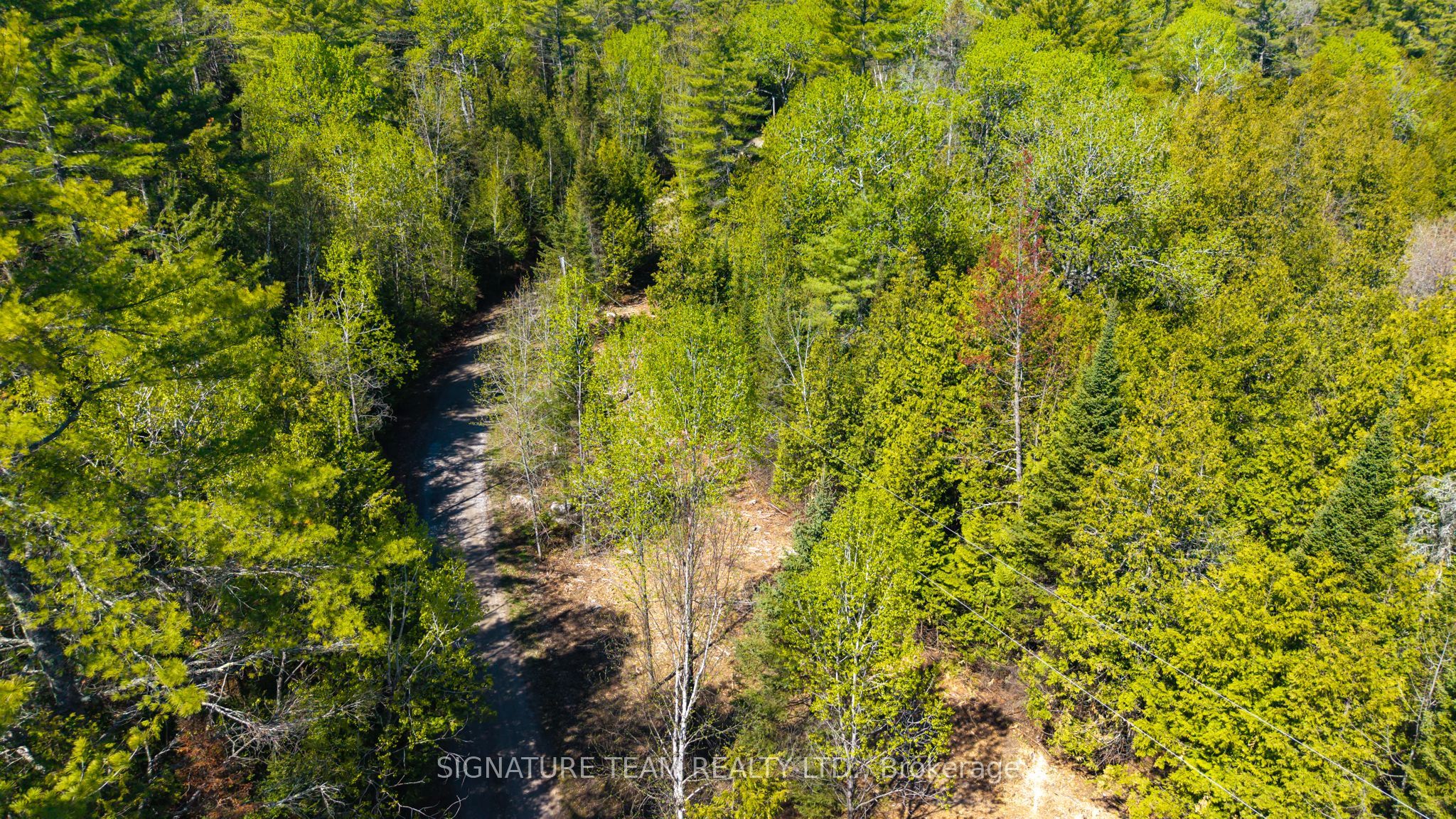 0 Red Ash Trail, Whitewater Region, ON K0J 2L0 photo 5