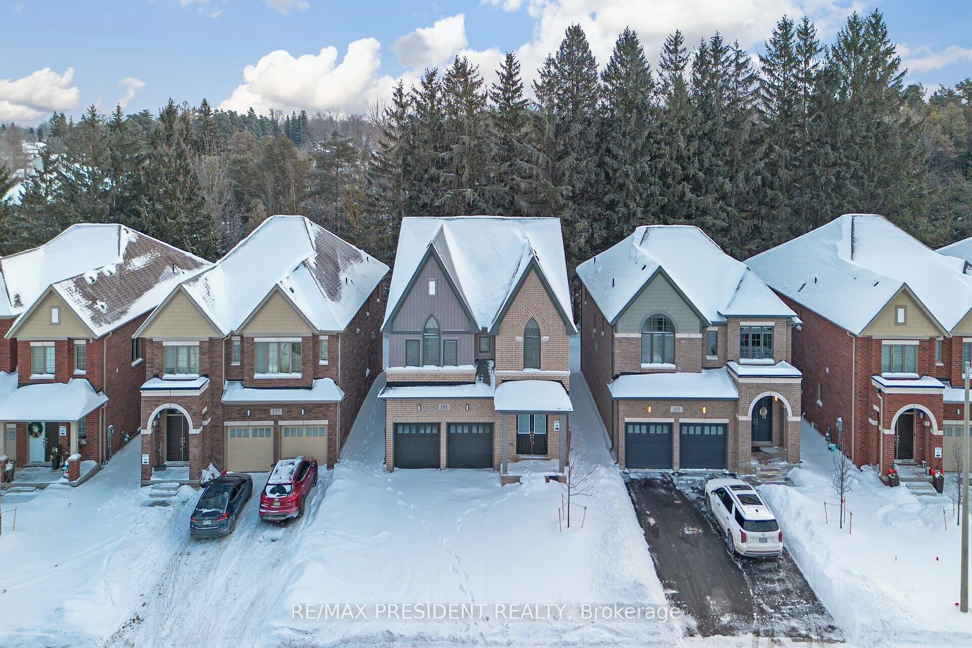 161 Dingman Street, Wellington North, ON N0G 1A0 photo 2