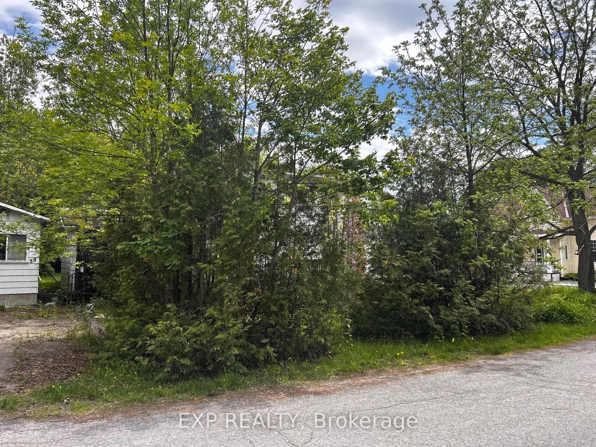 139 CHARLES Street, Carleton Place, ON K7C 2Y4 photo 3