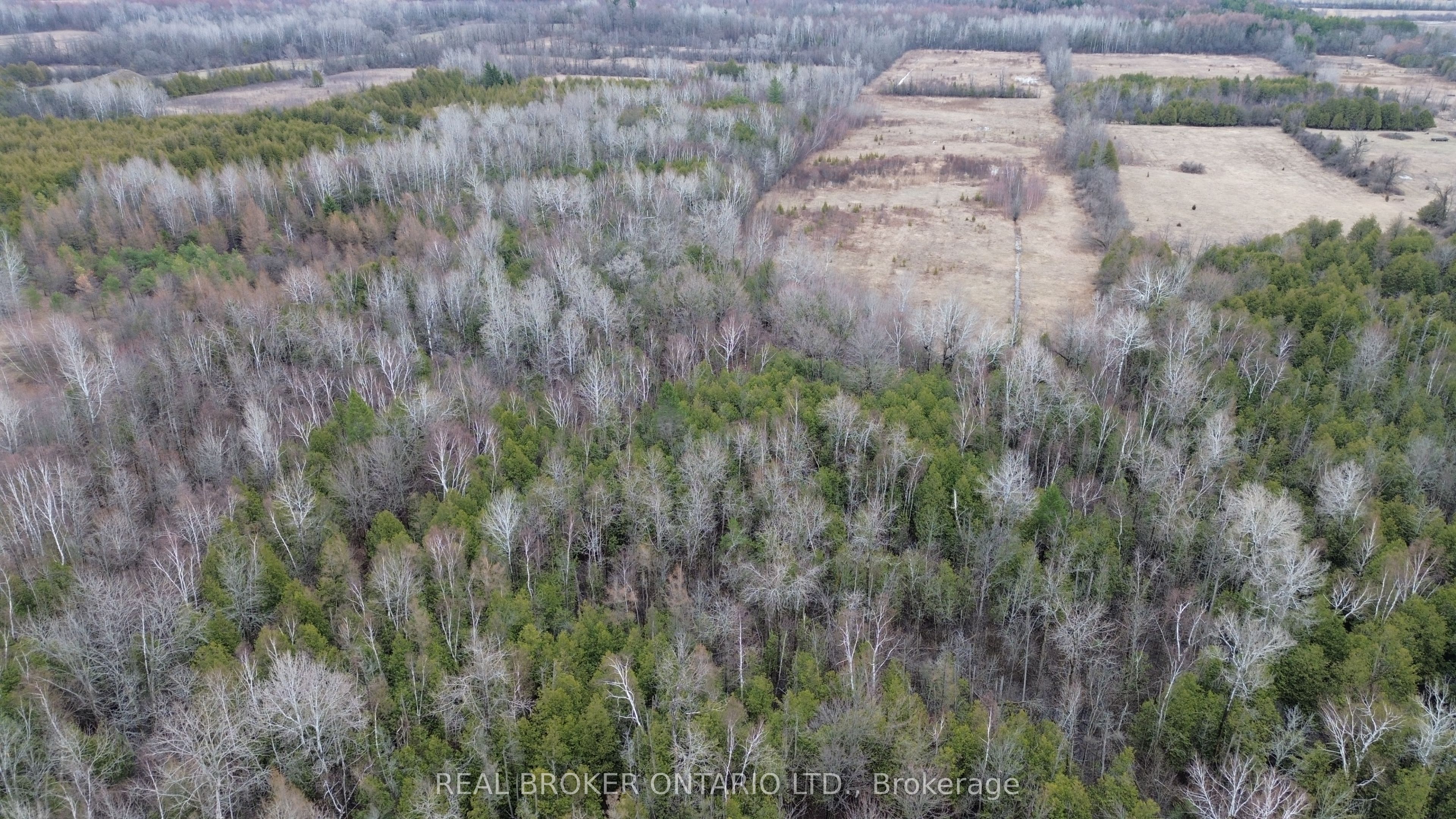 Lot 1 Kennedy Road, North Grenville, ON K0G 1J0 photo 4