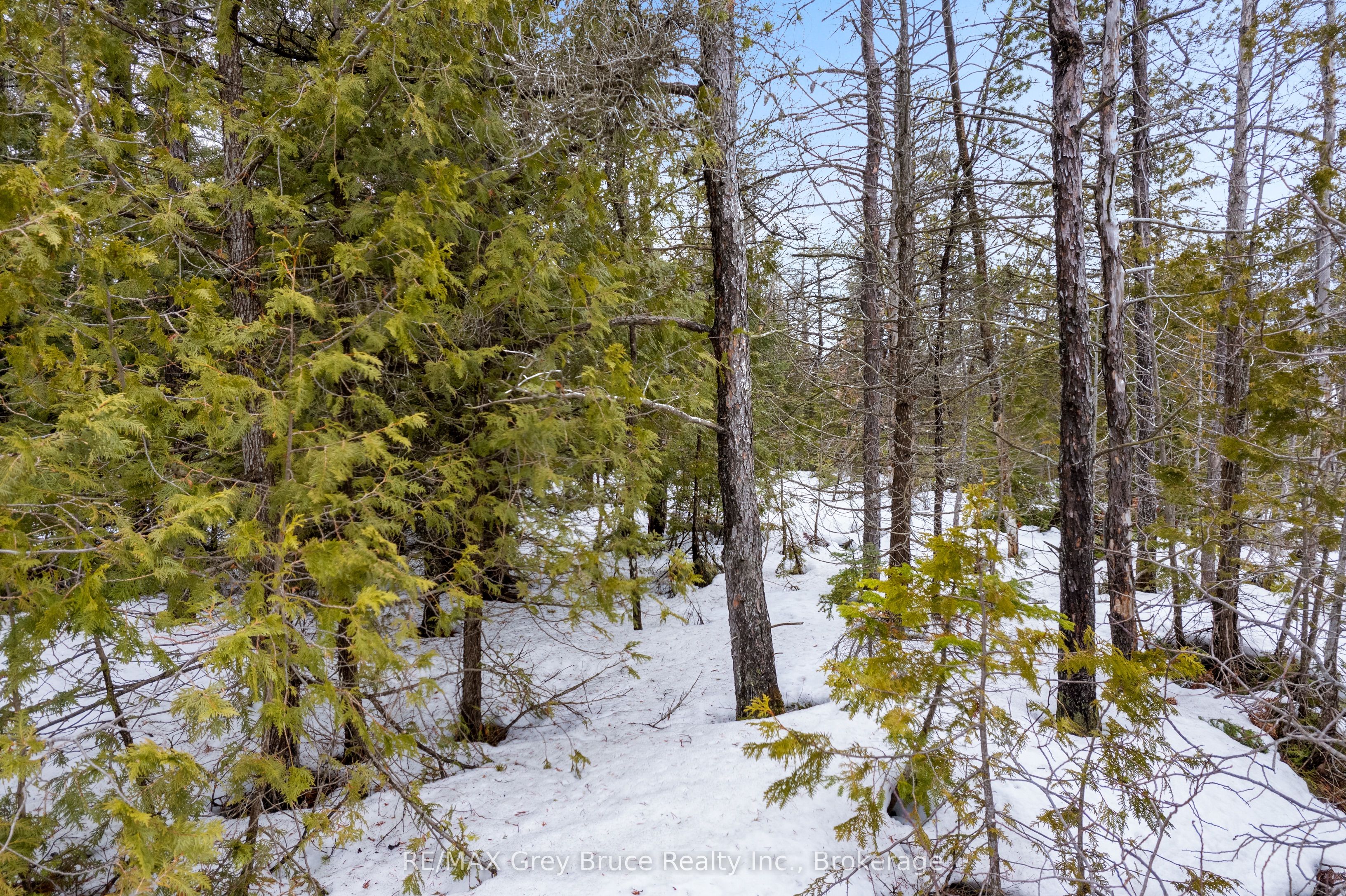 LOT 12 Willow Creek Crescent, Northern Bruce Peninsula, ON N0H 2R0 photo 5