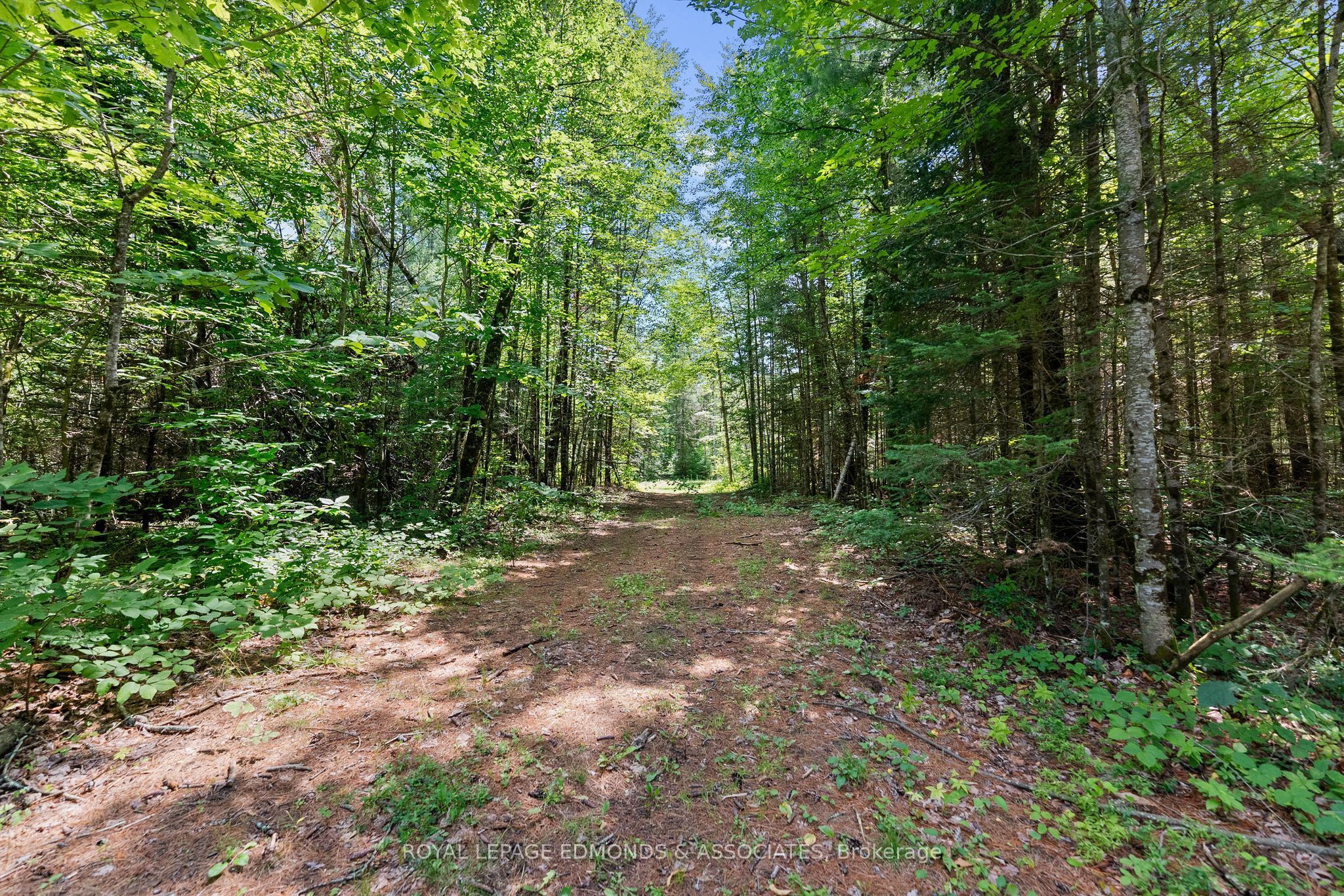 0000 Nangor Trail, Whitewater Region, ON K0J 2L0 photo 2