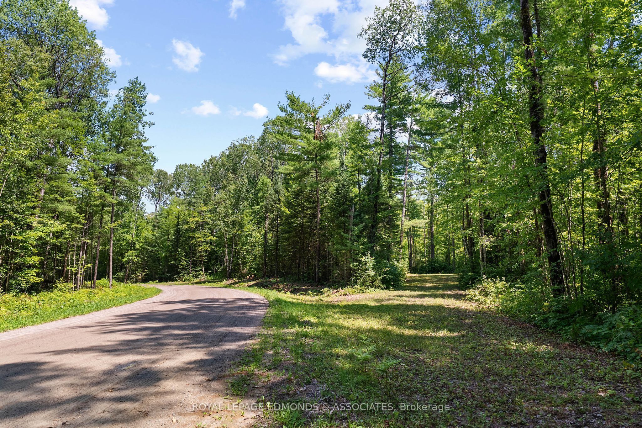 0000 Nangor Trail, Whitewater Region, ON K0J 2L0 photo 4