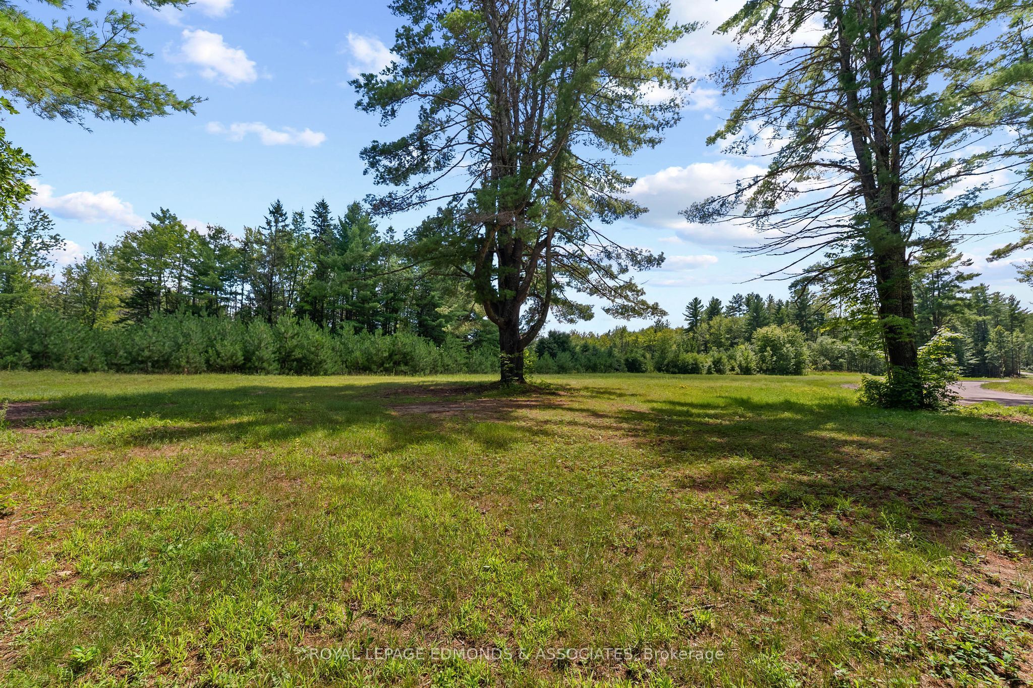 0000 Nangor Trail, Whitewater Region, ON K0J 2L0 photo 5
