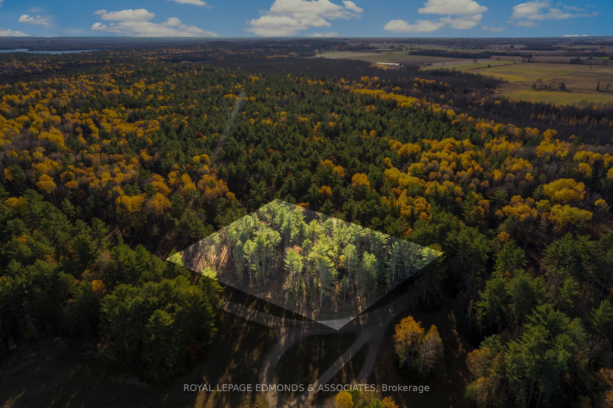 100 Nangor Trail, Whitewater Region, ON K0J 2L0