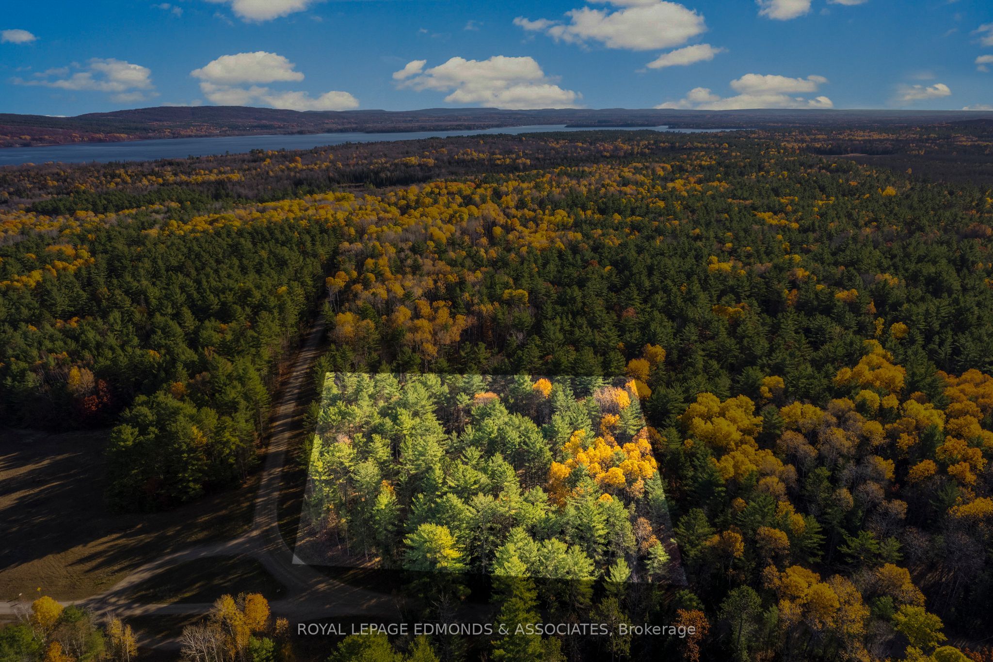 100 Nangor Trail, Whitewater Region, ON K0J 2L0 photo 3