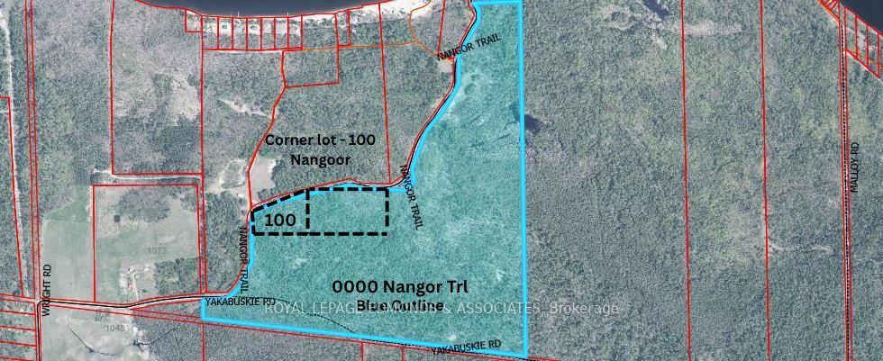 100 Nangor Trail, Whitewater Region, ON K0J 2L0 photo 4