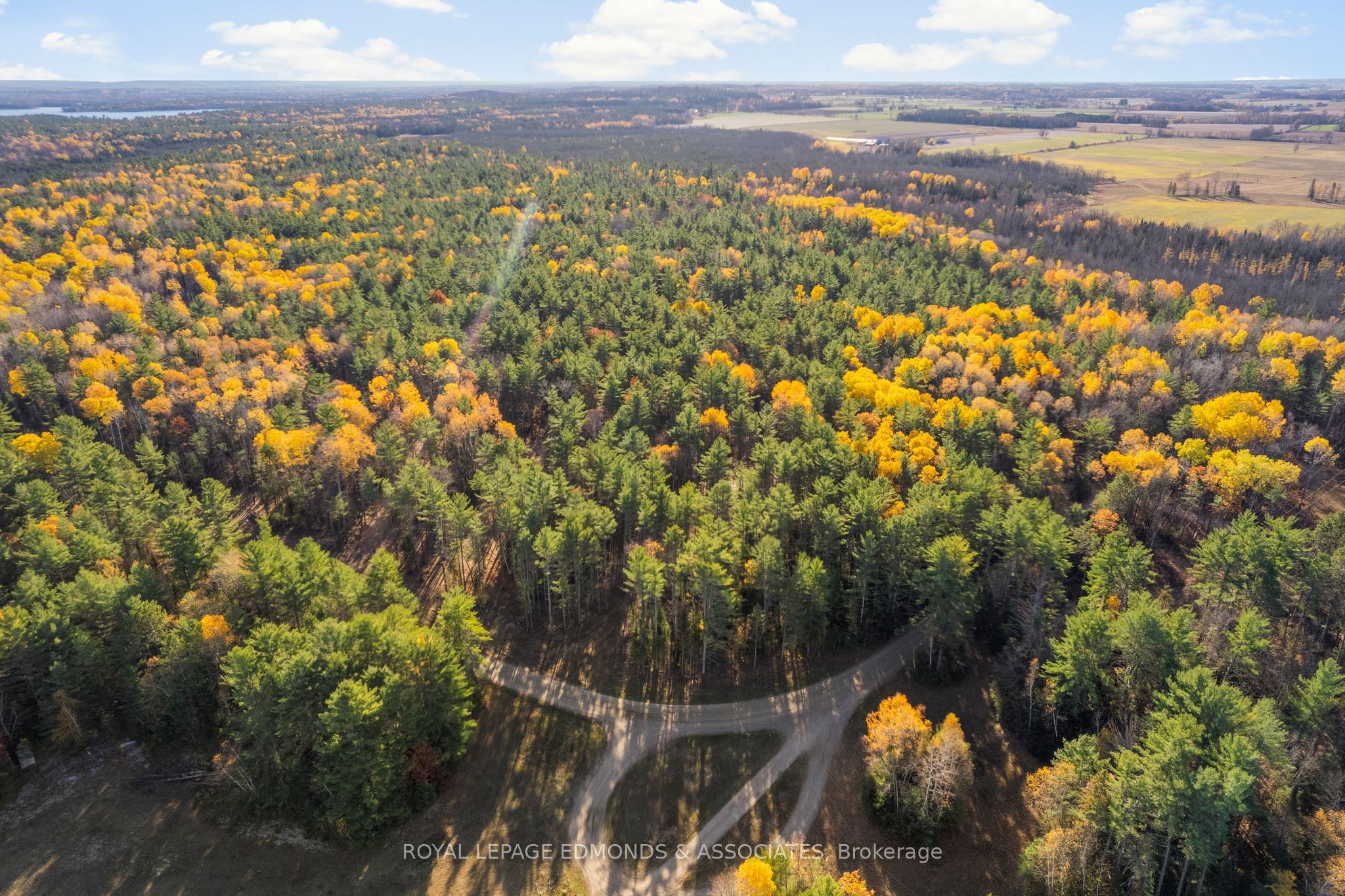 100 Nangor Trail, Whitewater Region, ON K0J 2L0 photo 5
