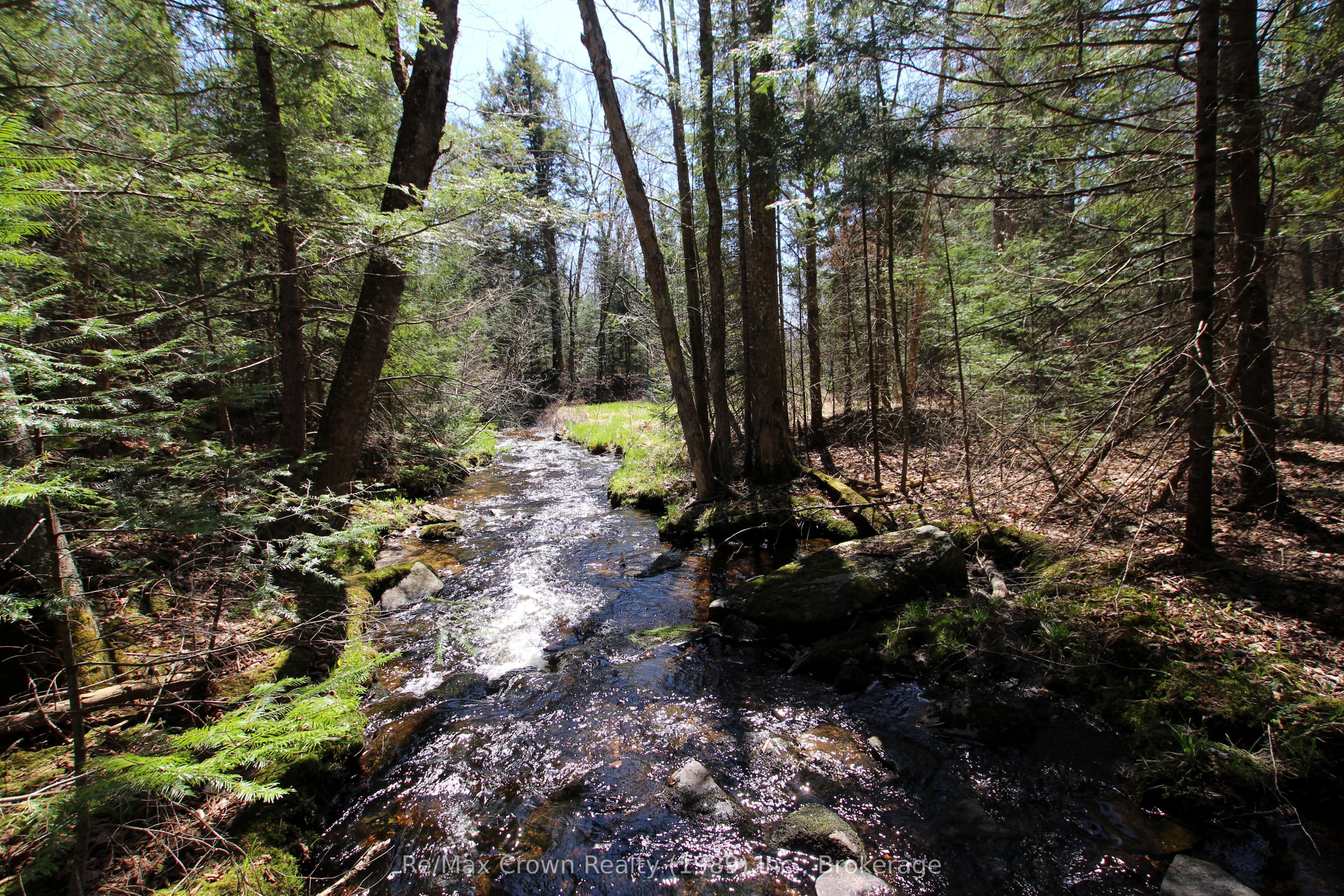 0 534 Highway, Parry Sound Remote Area, ON P0H 2R0 photo 3