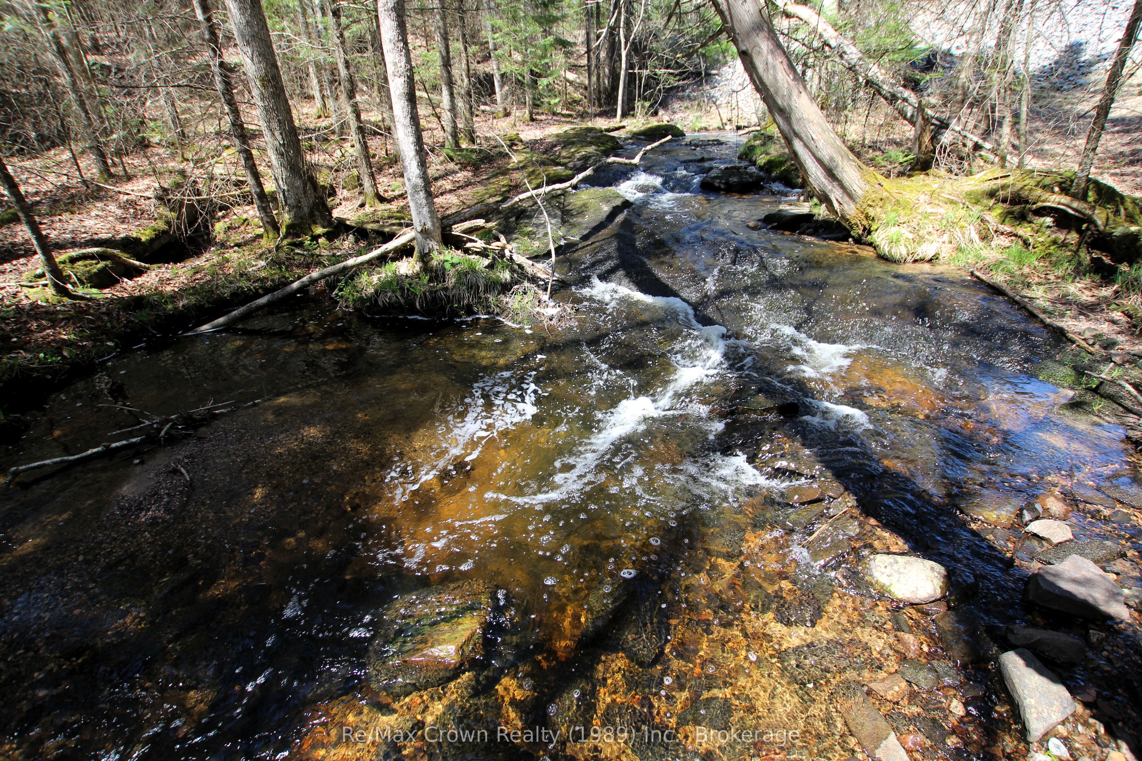 0 534 Highway, Parry Sound Remote Area, ON P0H 2R0 photo 4