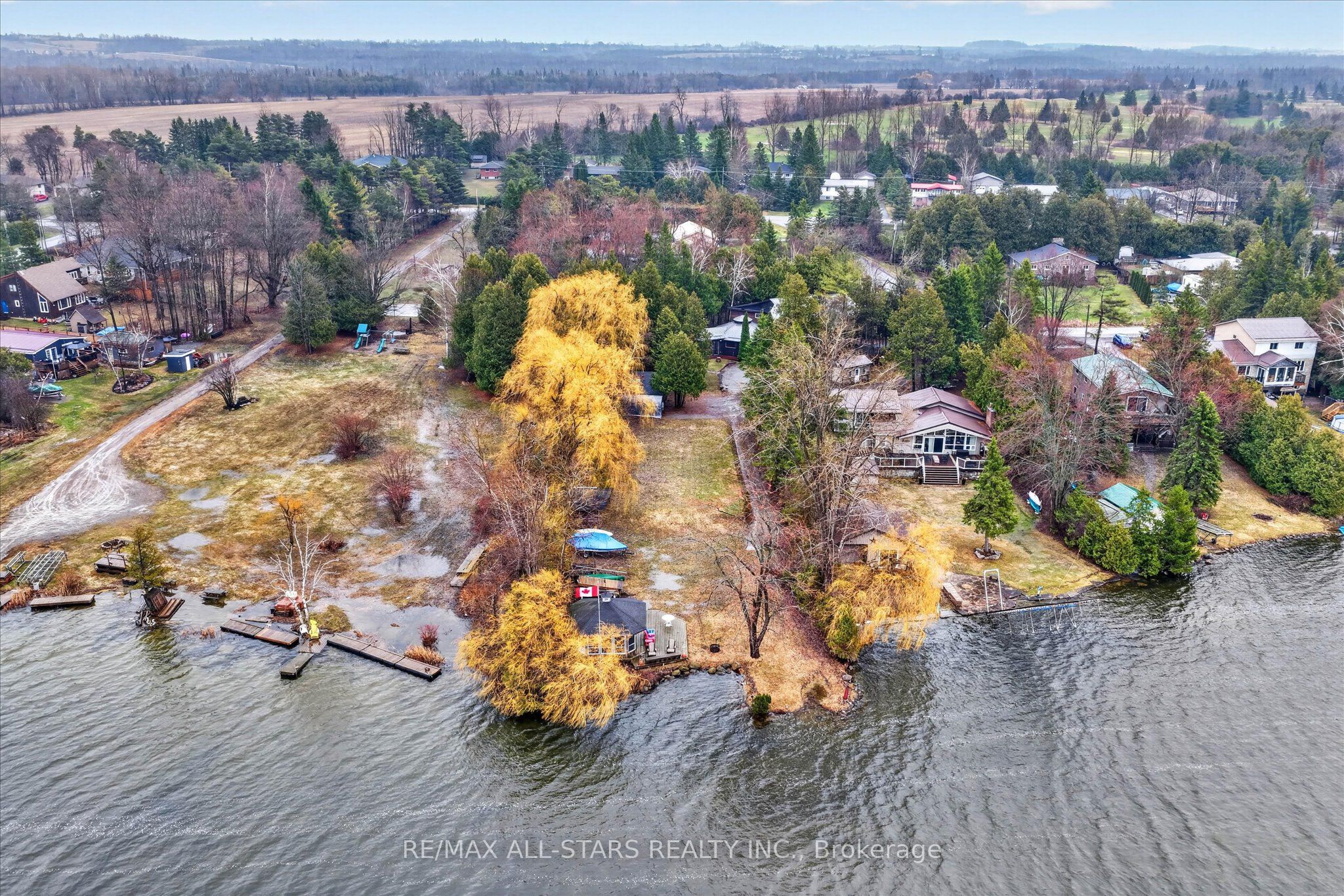 41 Cedar Crescent, Kawartha Lakes, ON L0B 1K0 photo 3