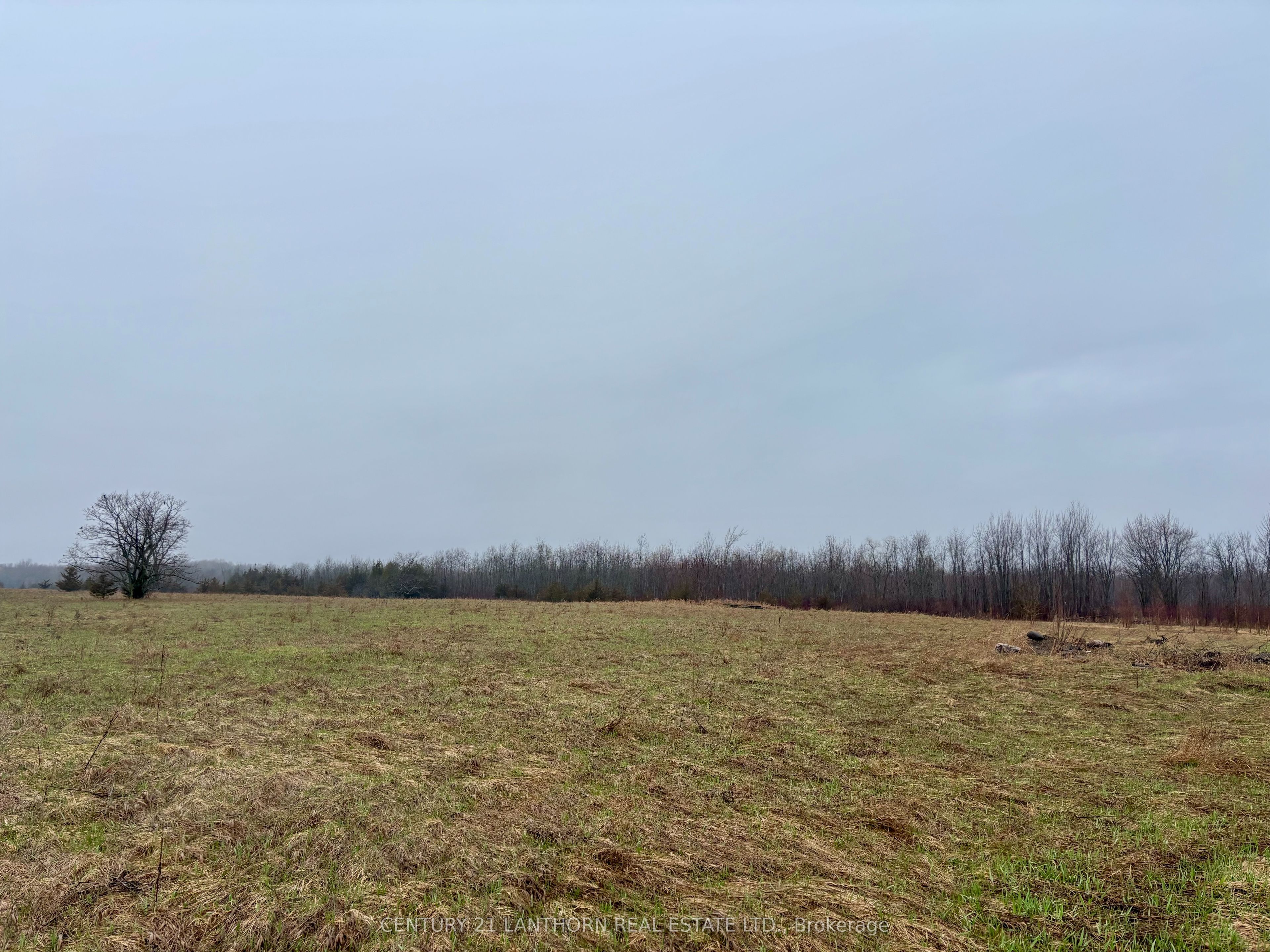 00 Mitchells Cross Road, Prince Edward County, ON K0K 2T0 photo 5