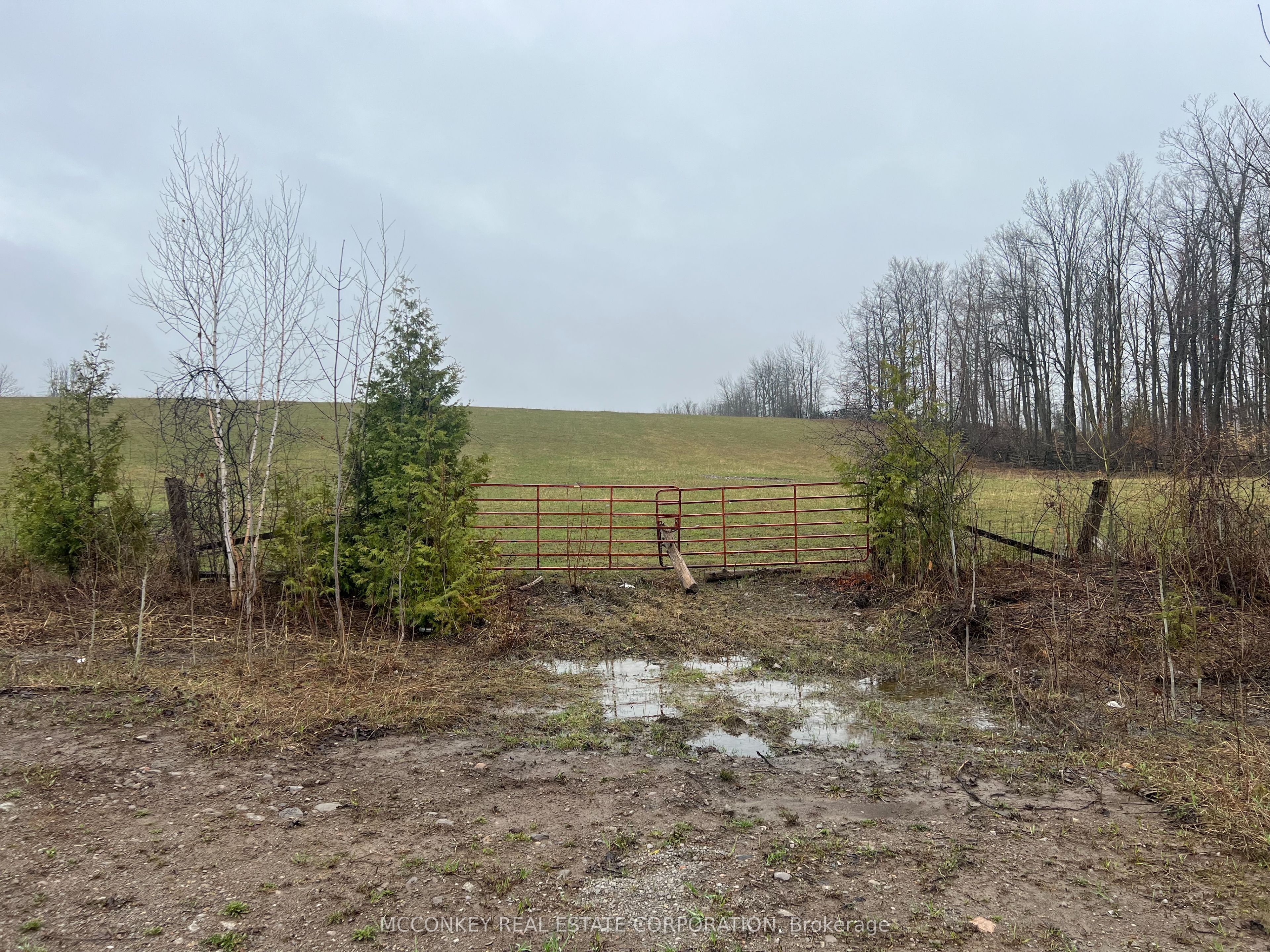 1020 Centre Road, Douro-Dummer, ON K0L 2H0