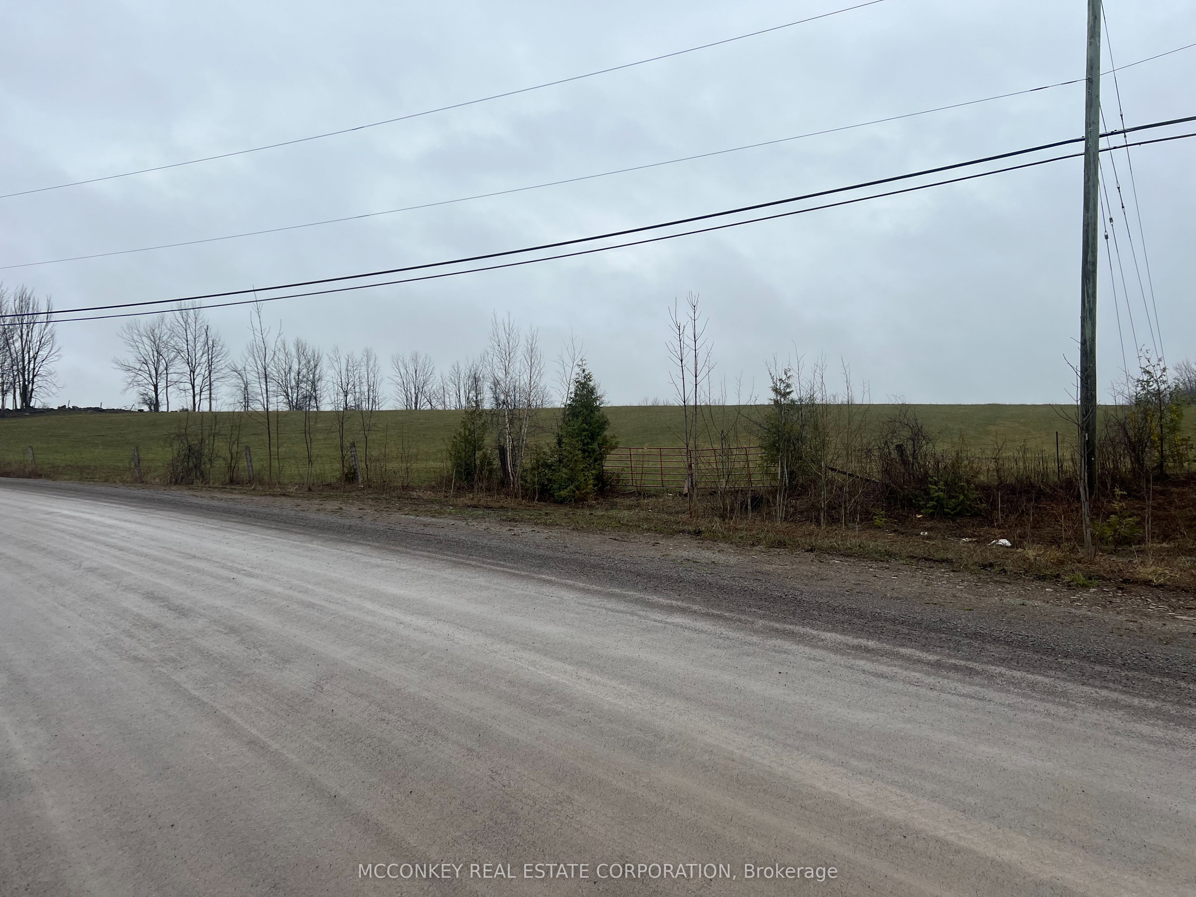 1020 Centre Road, Douro-Dummer, ON K0L 2H0 photo 2