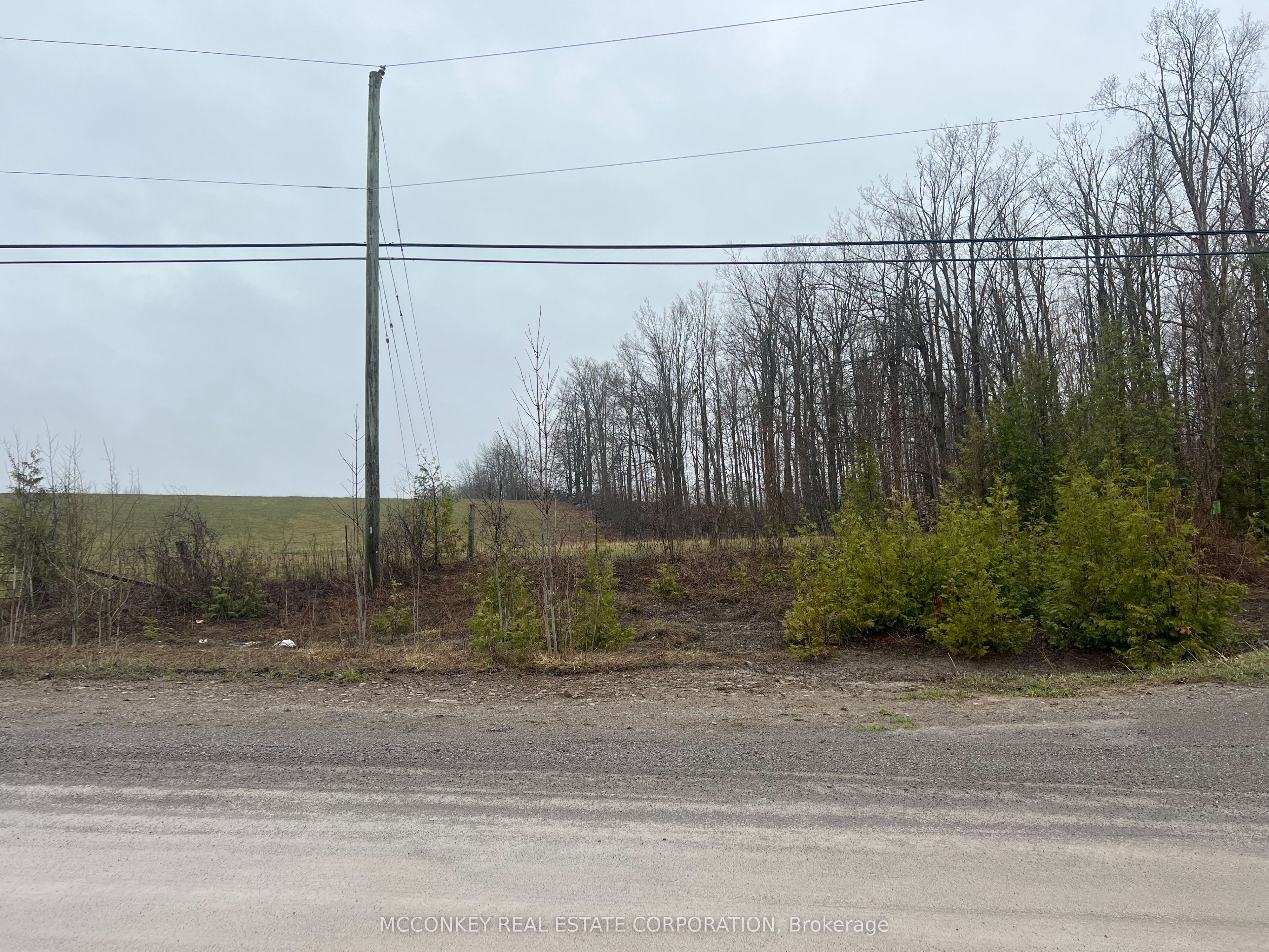 1020 Centre Road, Douro-Dummer, ON K0L 2H0 photo 3