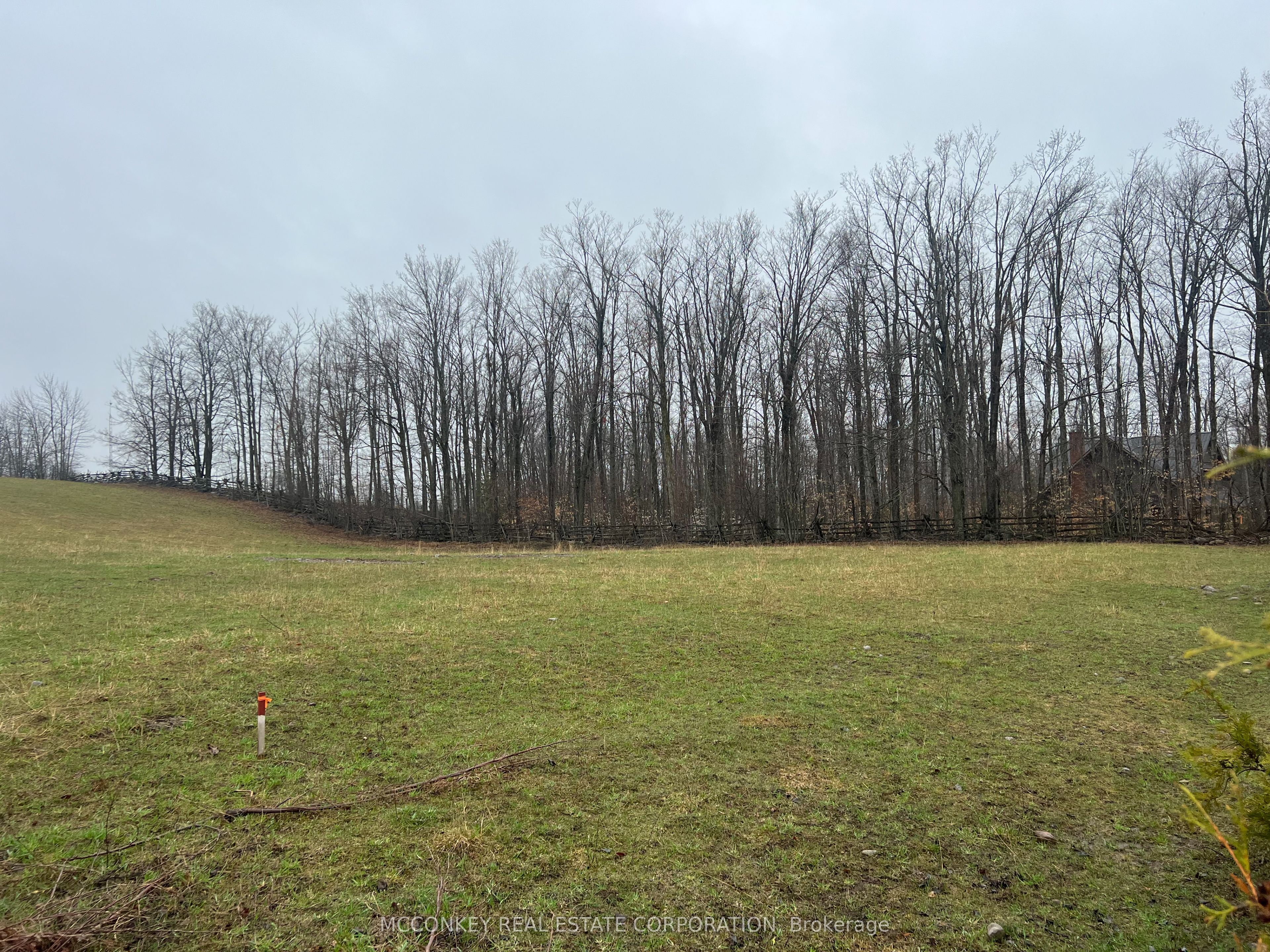 1020 Centre Road, Douro-Dummer, ON K0L 2H0 photo 4