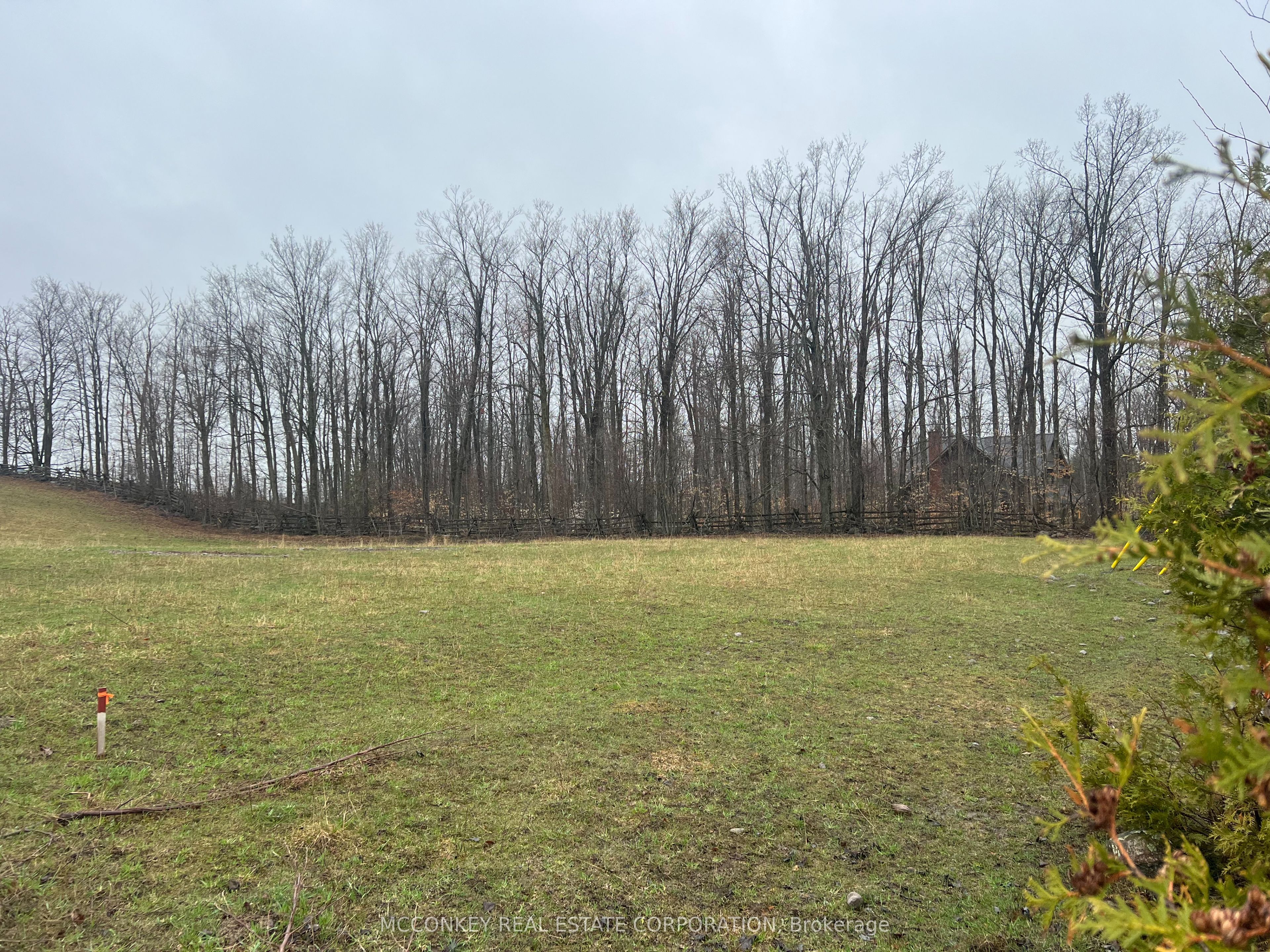 1020 Centre Road, Douro-Dummer, ON K0L 2H0 photo 5