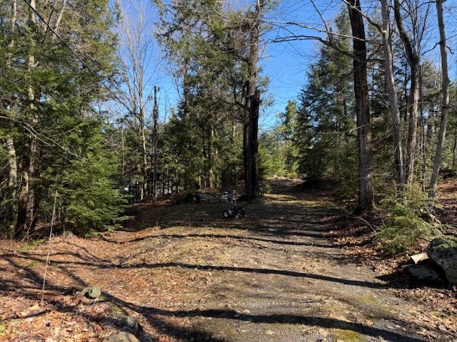 0 South Crane Lake Road, The Archipelago, ON P2A 0B7 photo 2