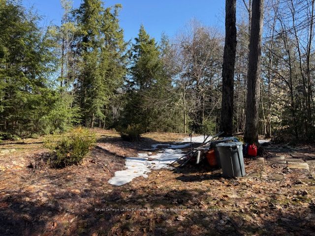 0 South Crane Lake Road, The Archipelago, ON P2A 0B7 photo 3