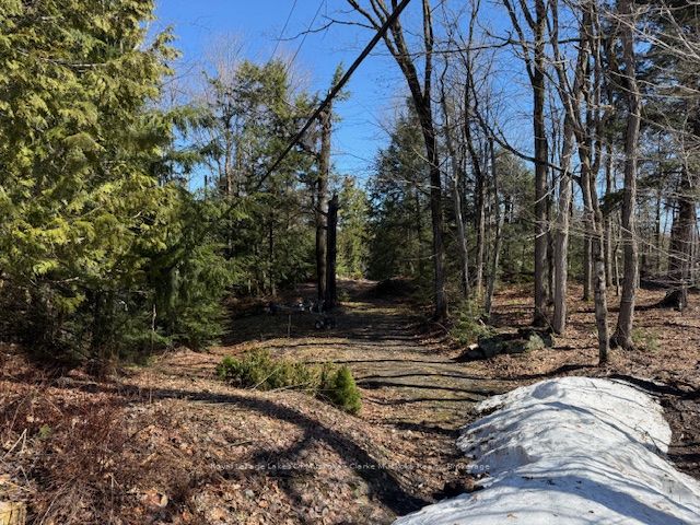 0 South Crane Lake Road, The Archipelago, ON P2A 0B7 photo 4