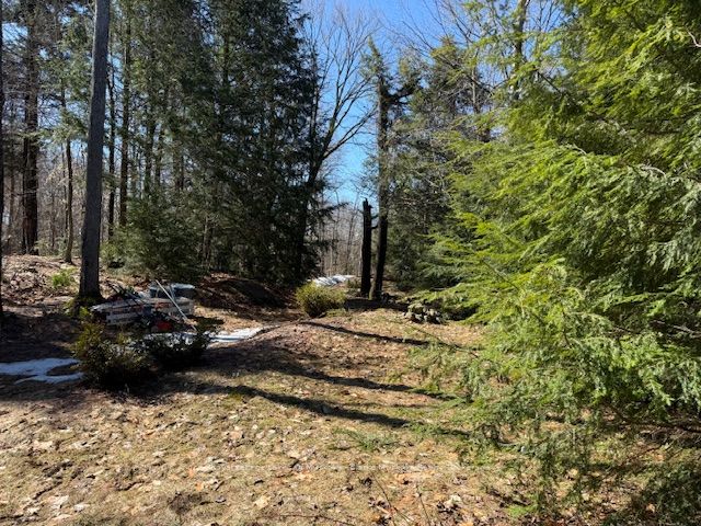 0 South Crane Lake Road, The Archipelago, ON P2A 0B7 photo 5