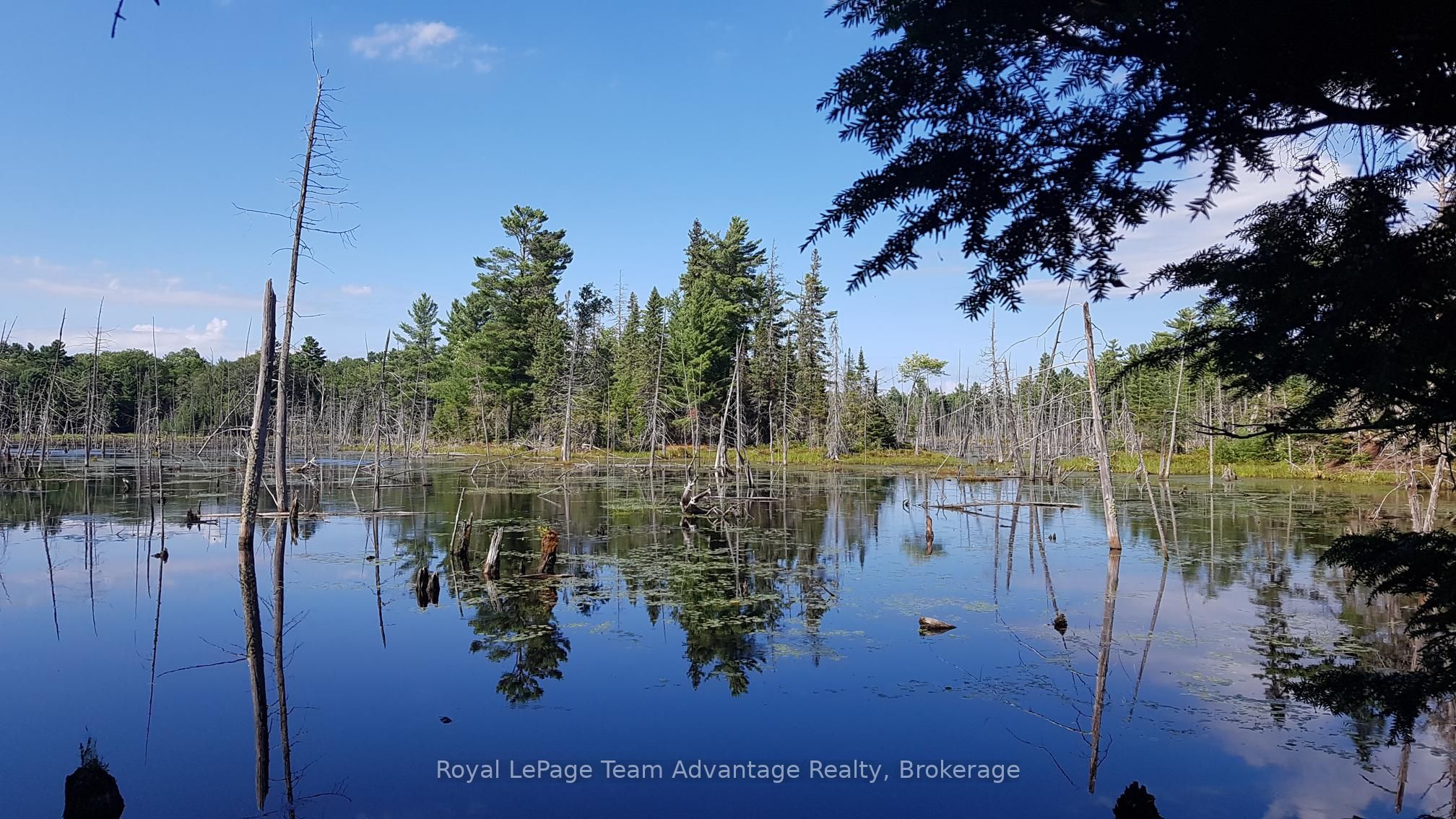 0 Unopened Road Allowance Road, McKellar, ON P2A 2W7 photo 2