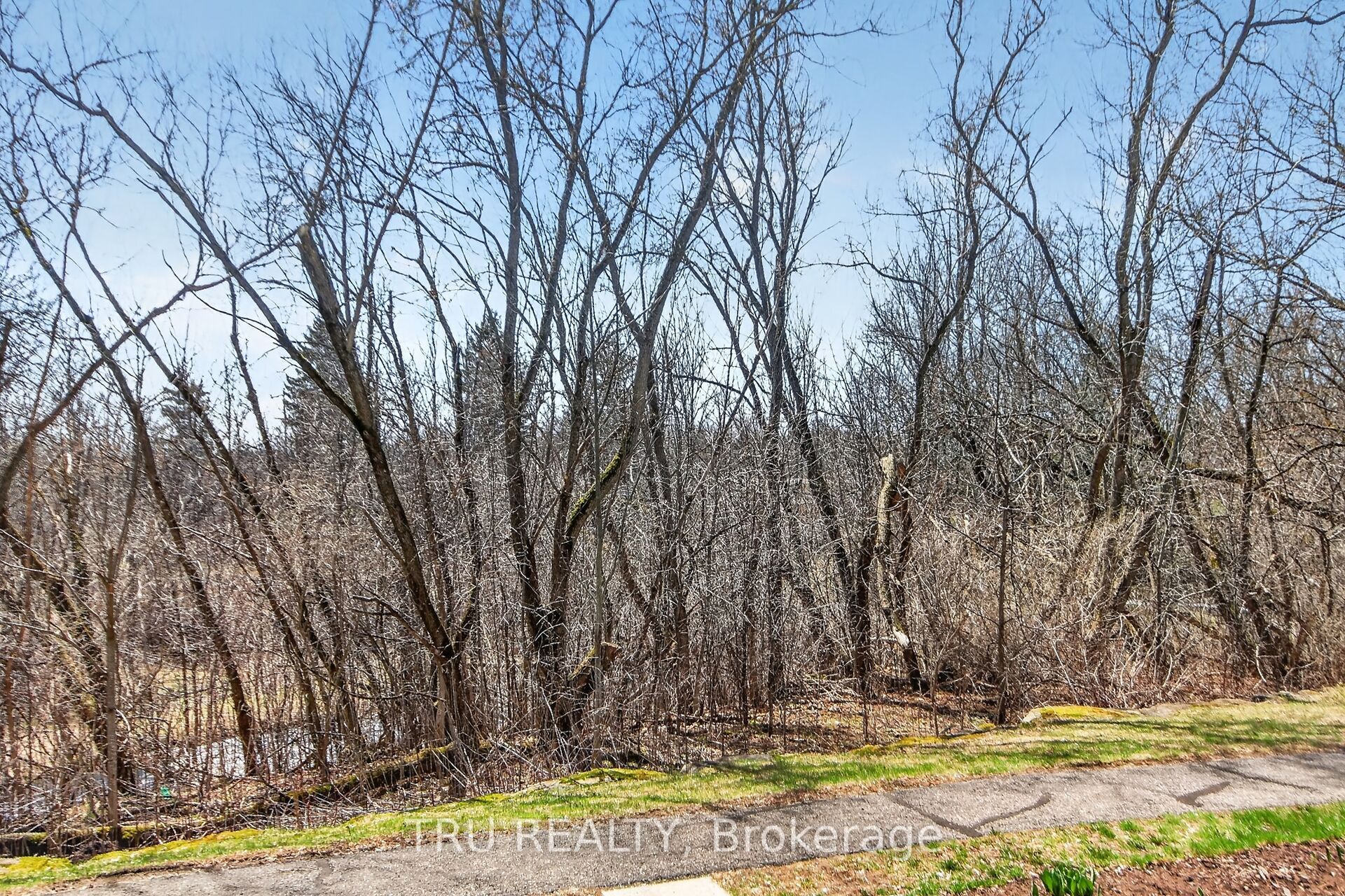 398 Van Buren Street 113, North Grenville, ON K0G 1J0 photo 4