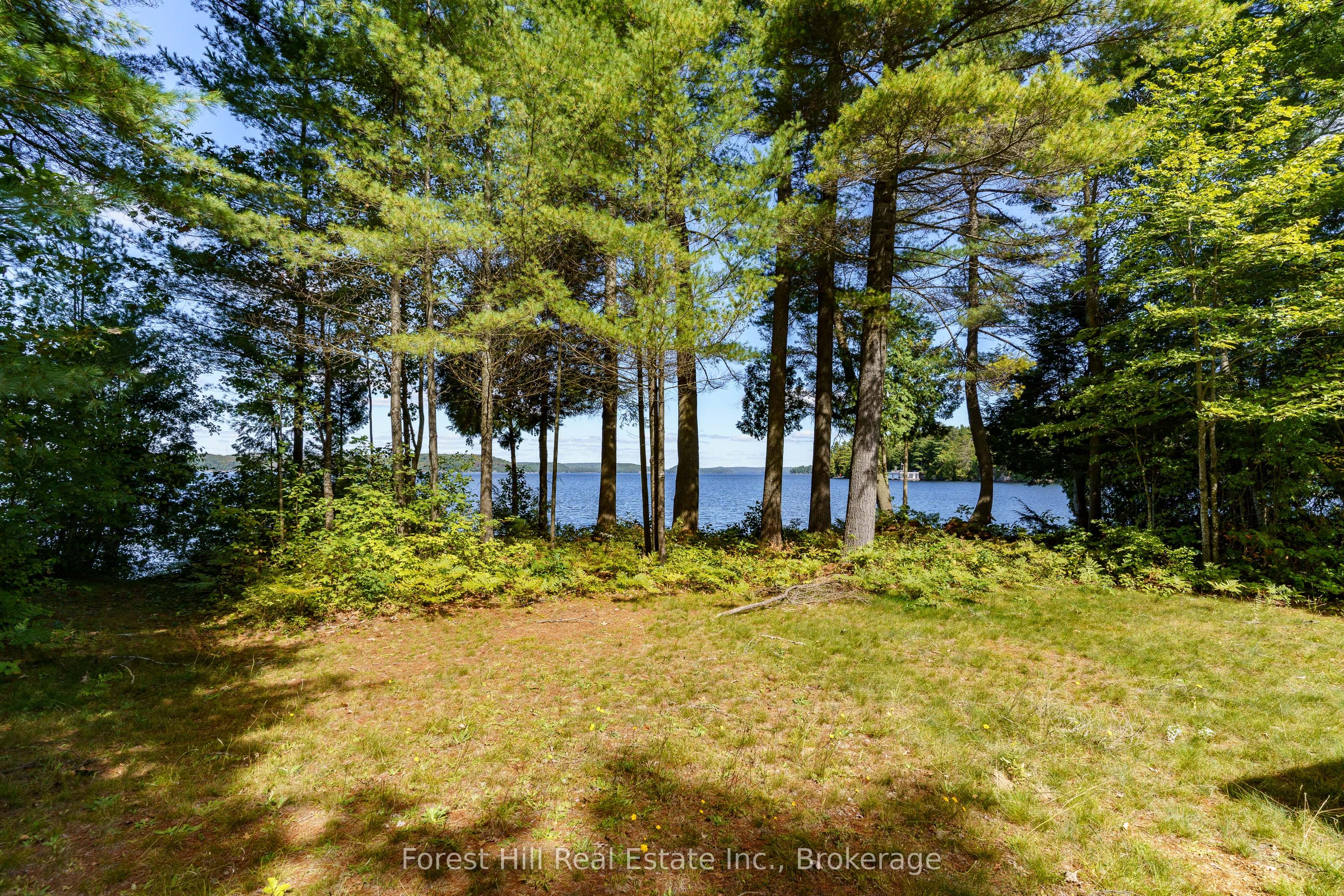 2991 Muskoka Rd 117 Road 2, Lake of Bays, ON P0B 1A0 photo 3