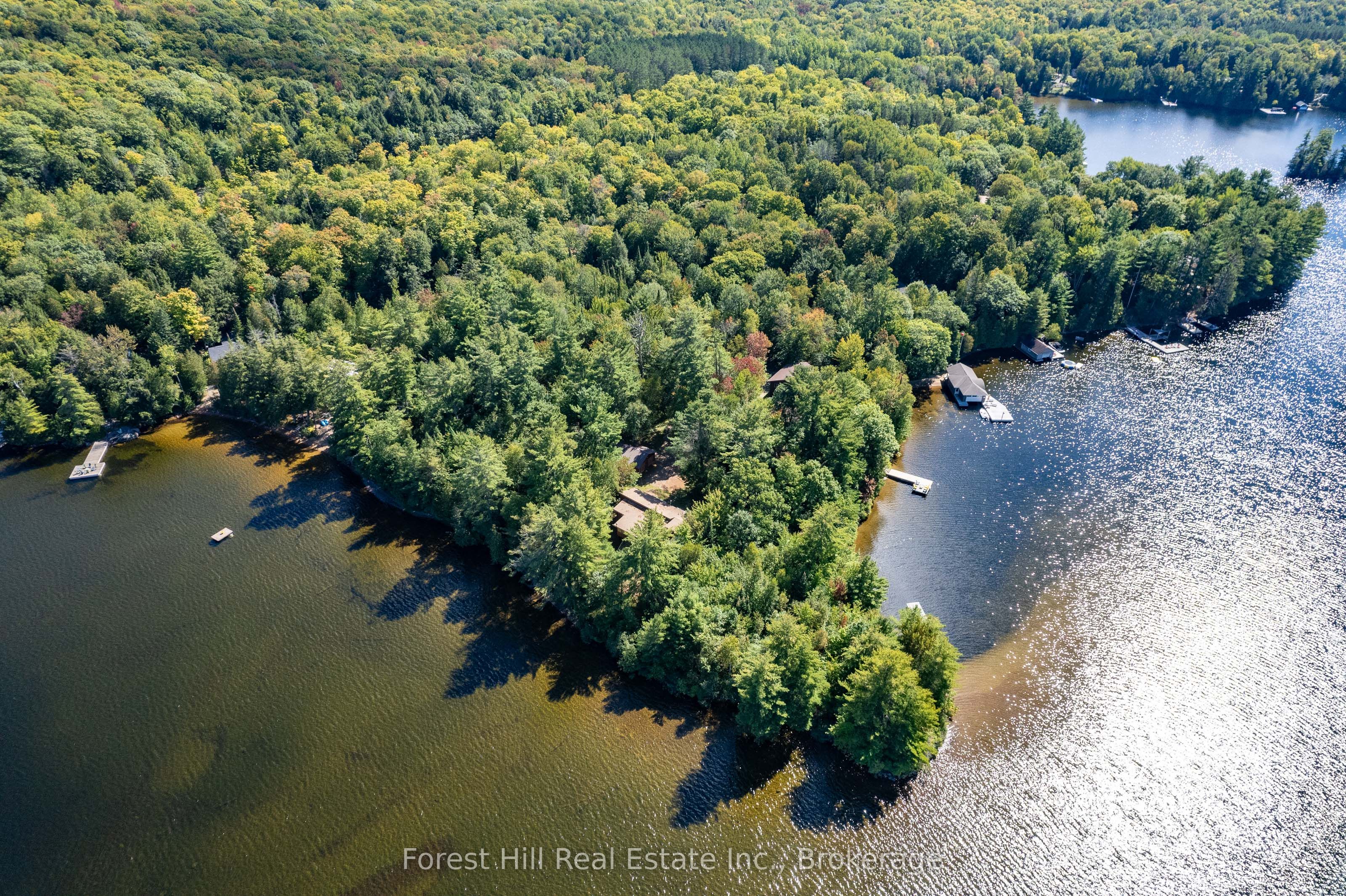 2991 Muskoka Rd 117 Road 2, Lake of Bays, ON P0B 1A0 photo 4